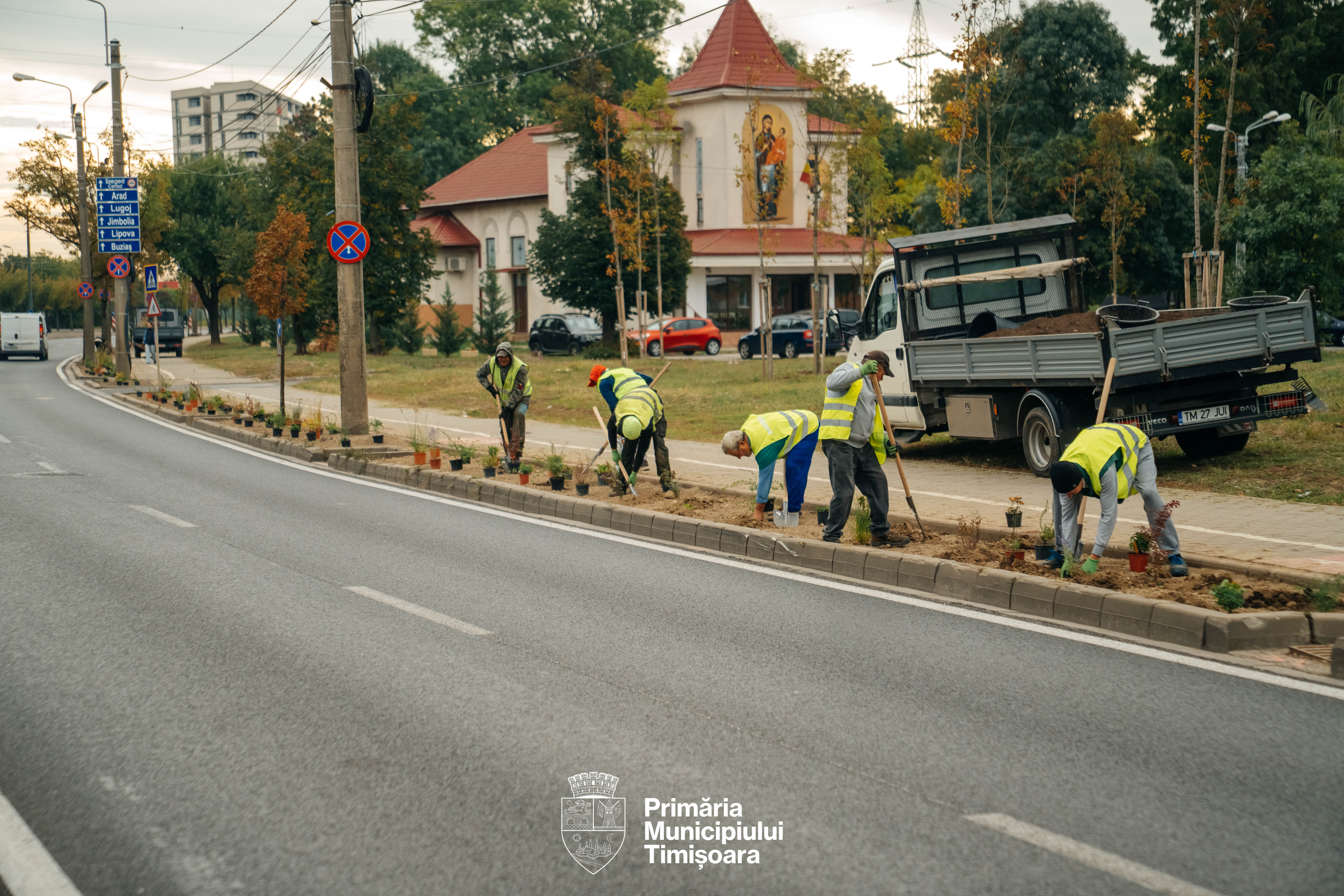 plante spații verzi rebreanu (2)