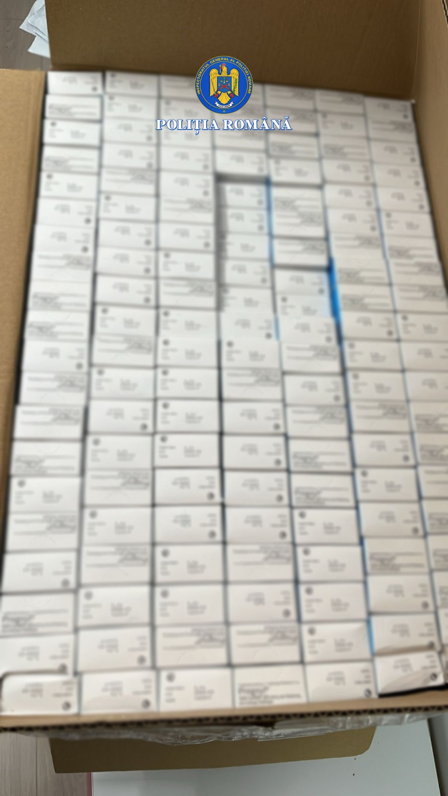 WhatsApp Image 2025-10-09 at 16.27.57 (2)