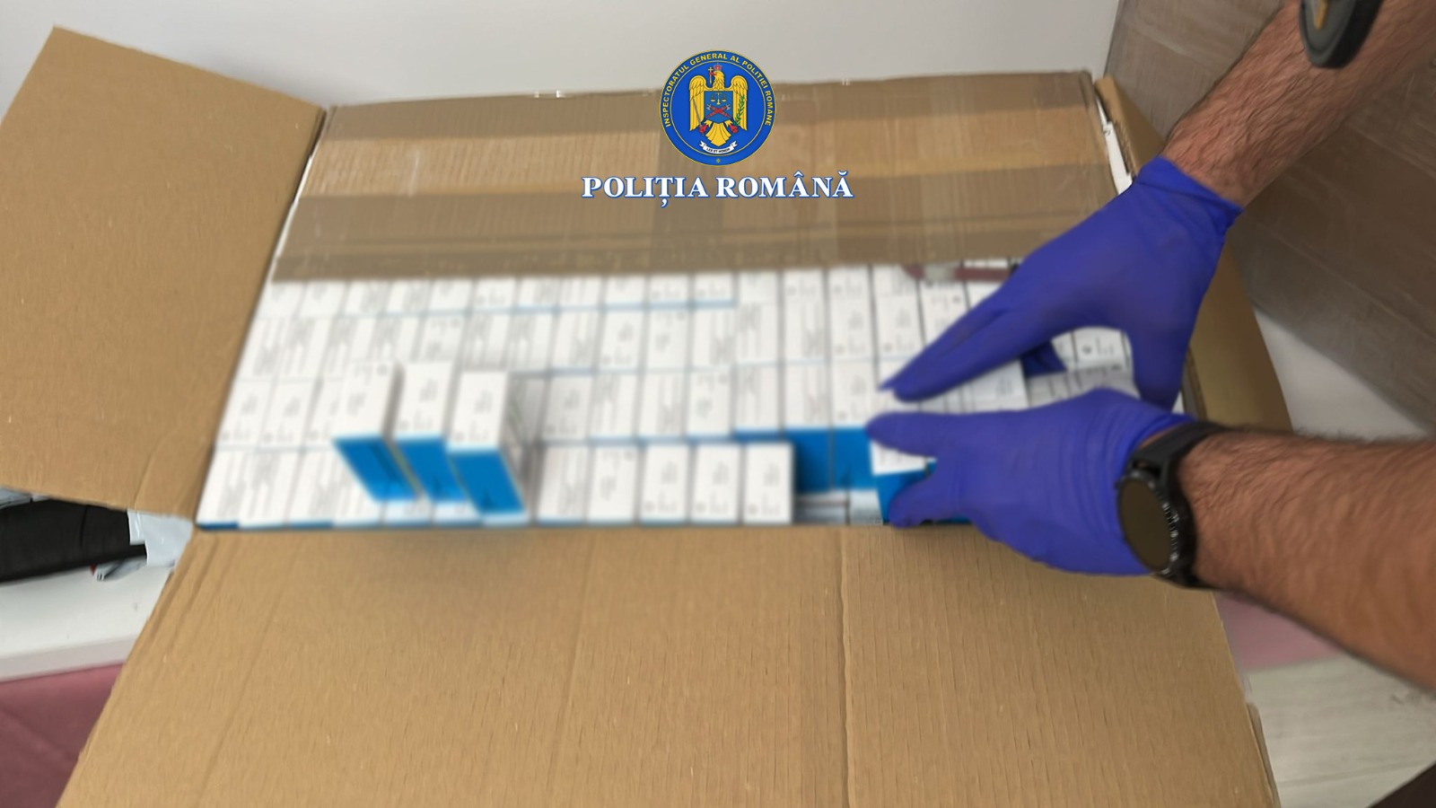 WhatsApp Image 2025-10-09 at 16.27.57 (1)