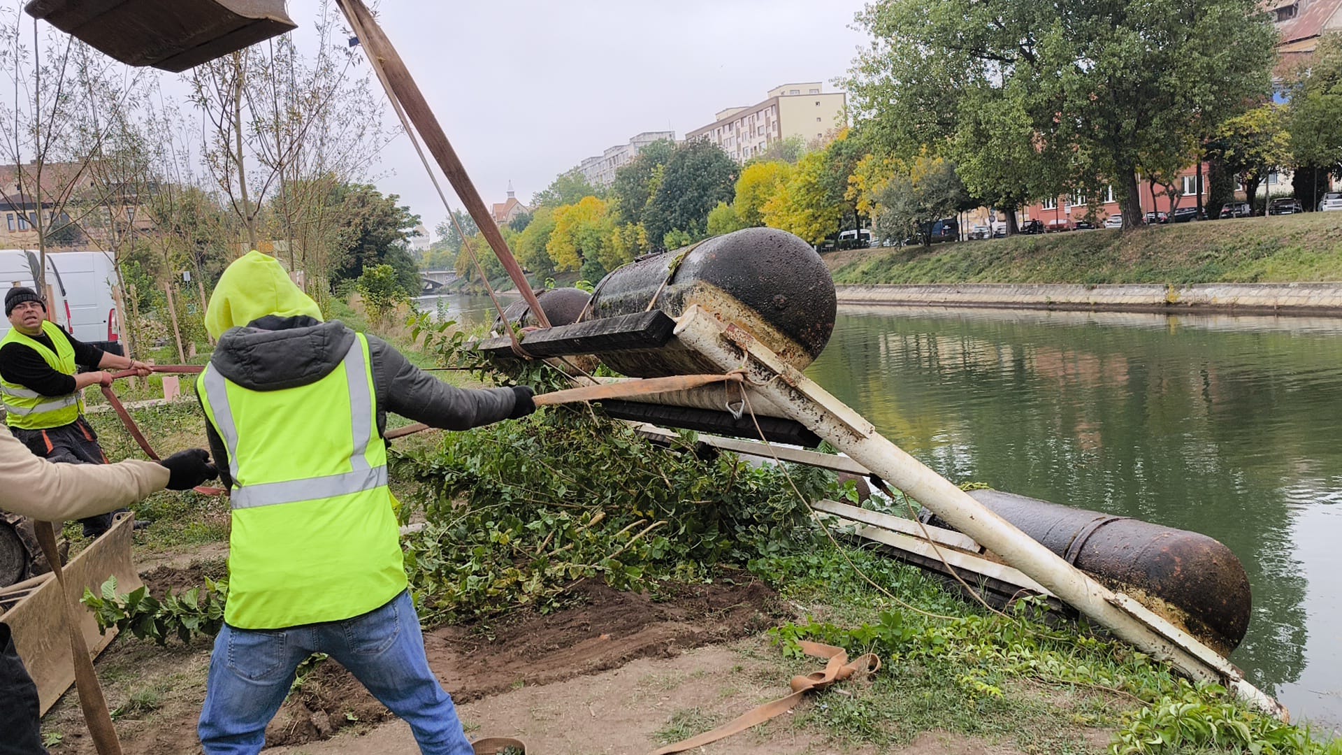 WhatsApp Image 2025-10-10 at 11.11.46