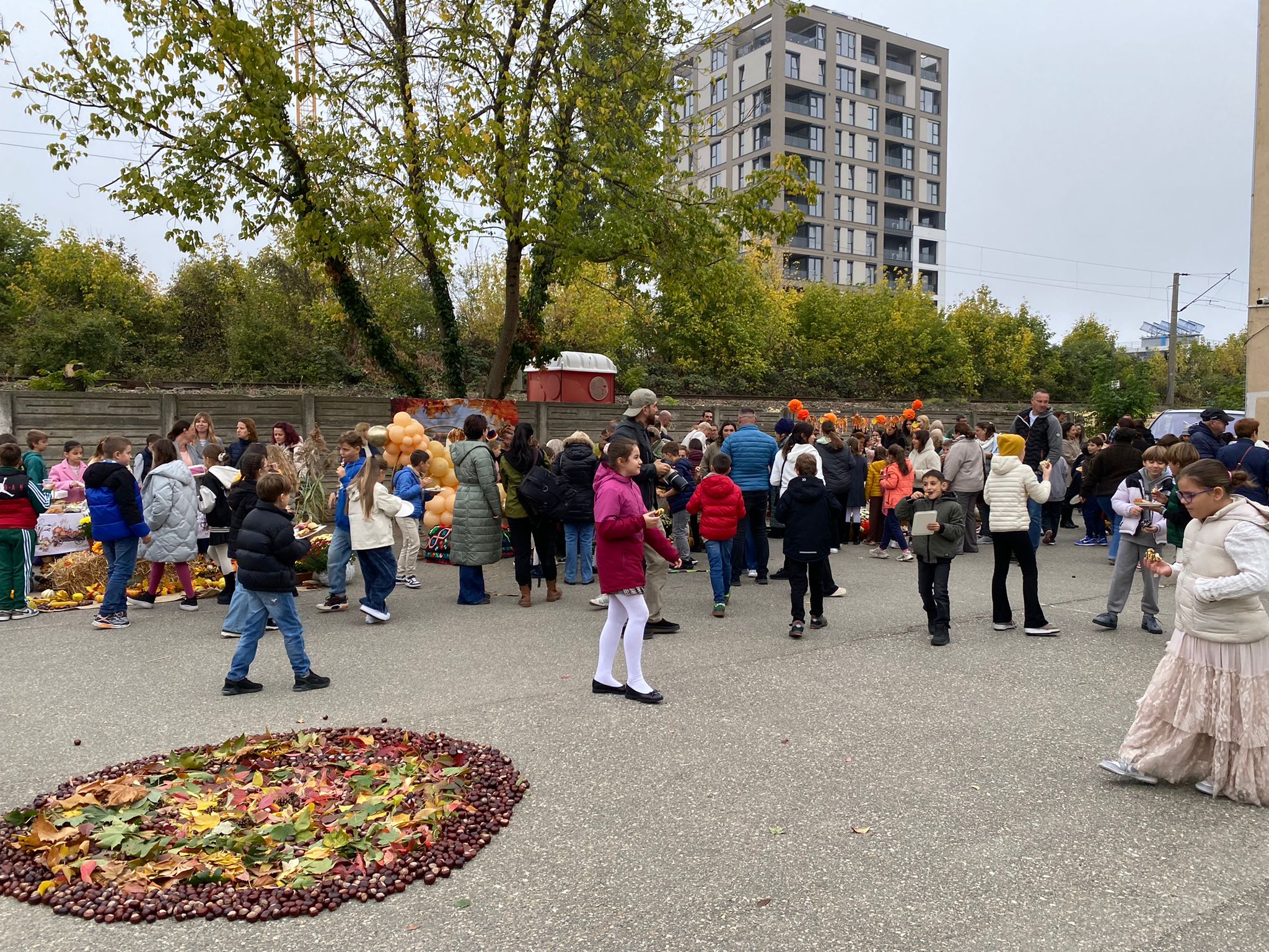 WhatsApp Image 2025-10-10 at 11.48.43 (2)