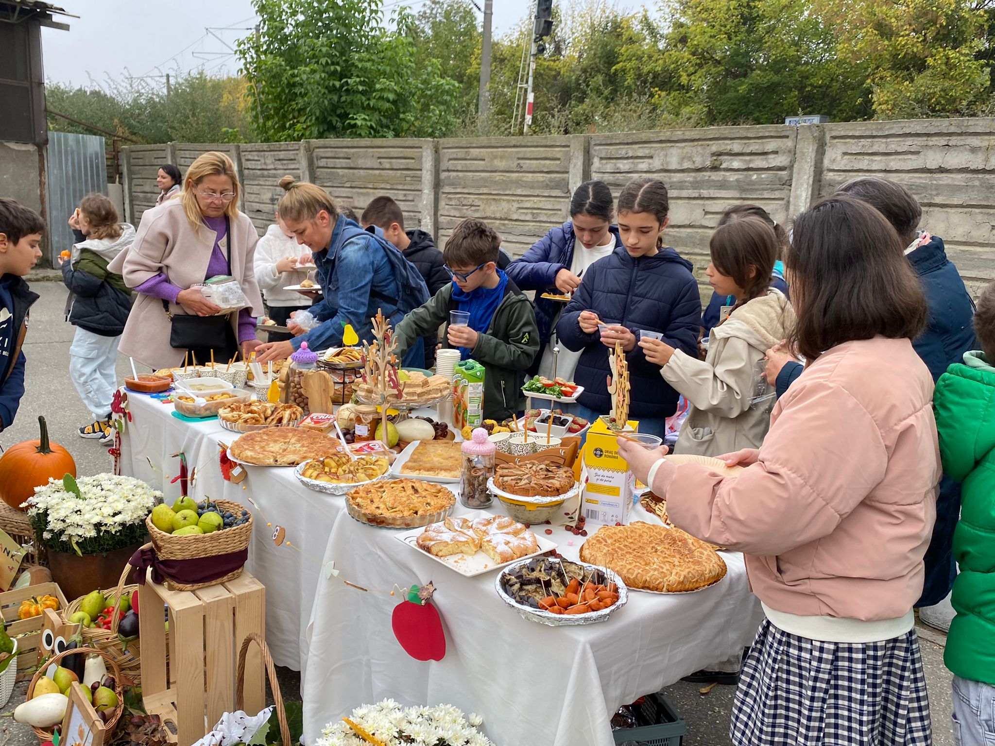 WhatsApp Image 2025-10-10 at 11.48.43 (1)