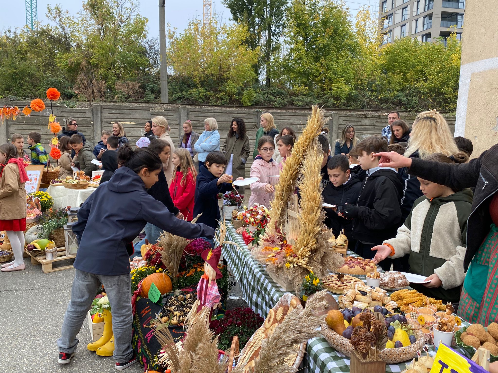 WhatsApp Image 2025-10-10 at 11.48.42 (2)