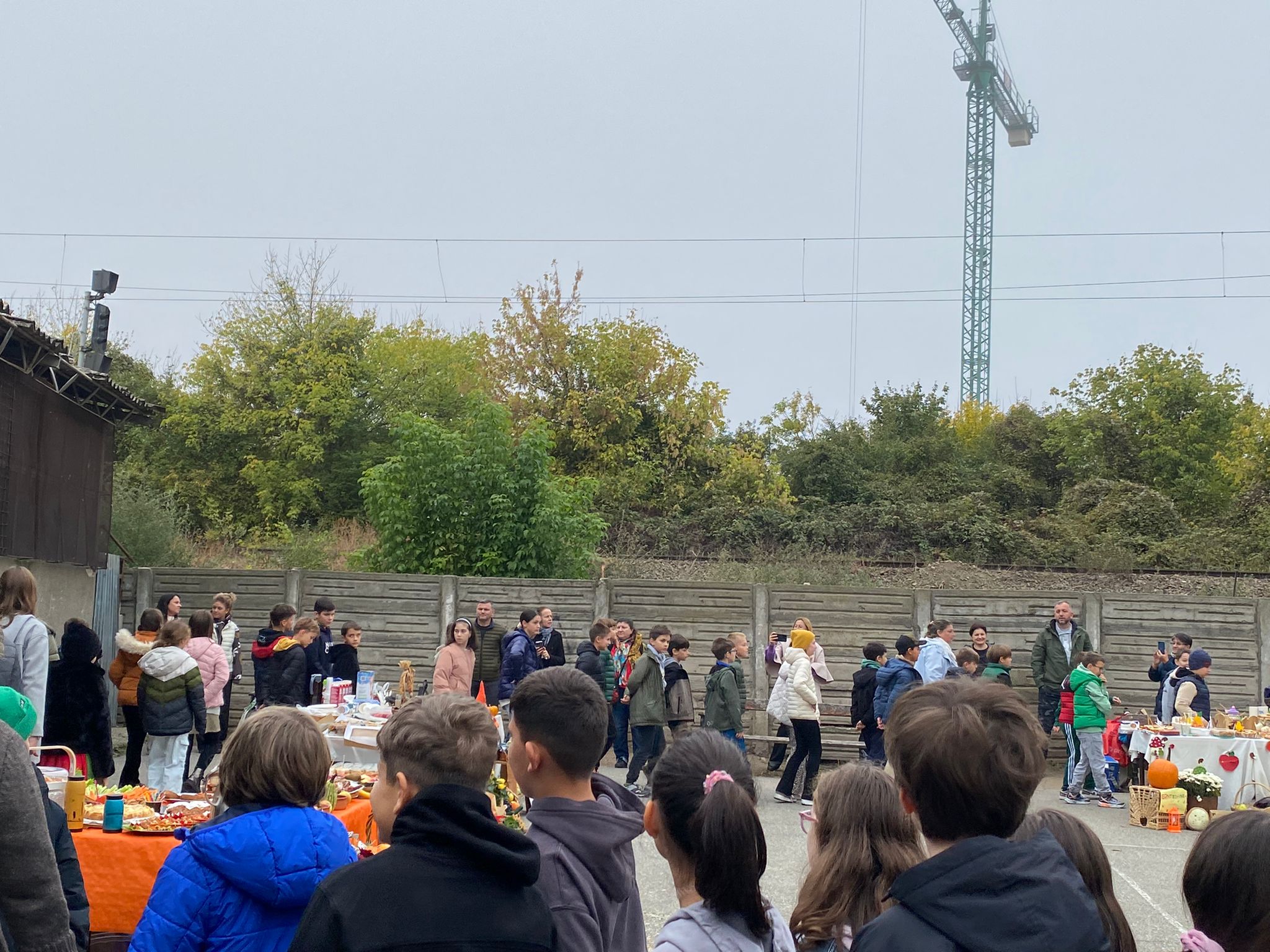 WhatsApp Image 2025-10-10 at 11.48.22