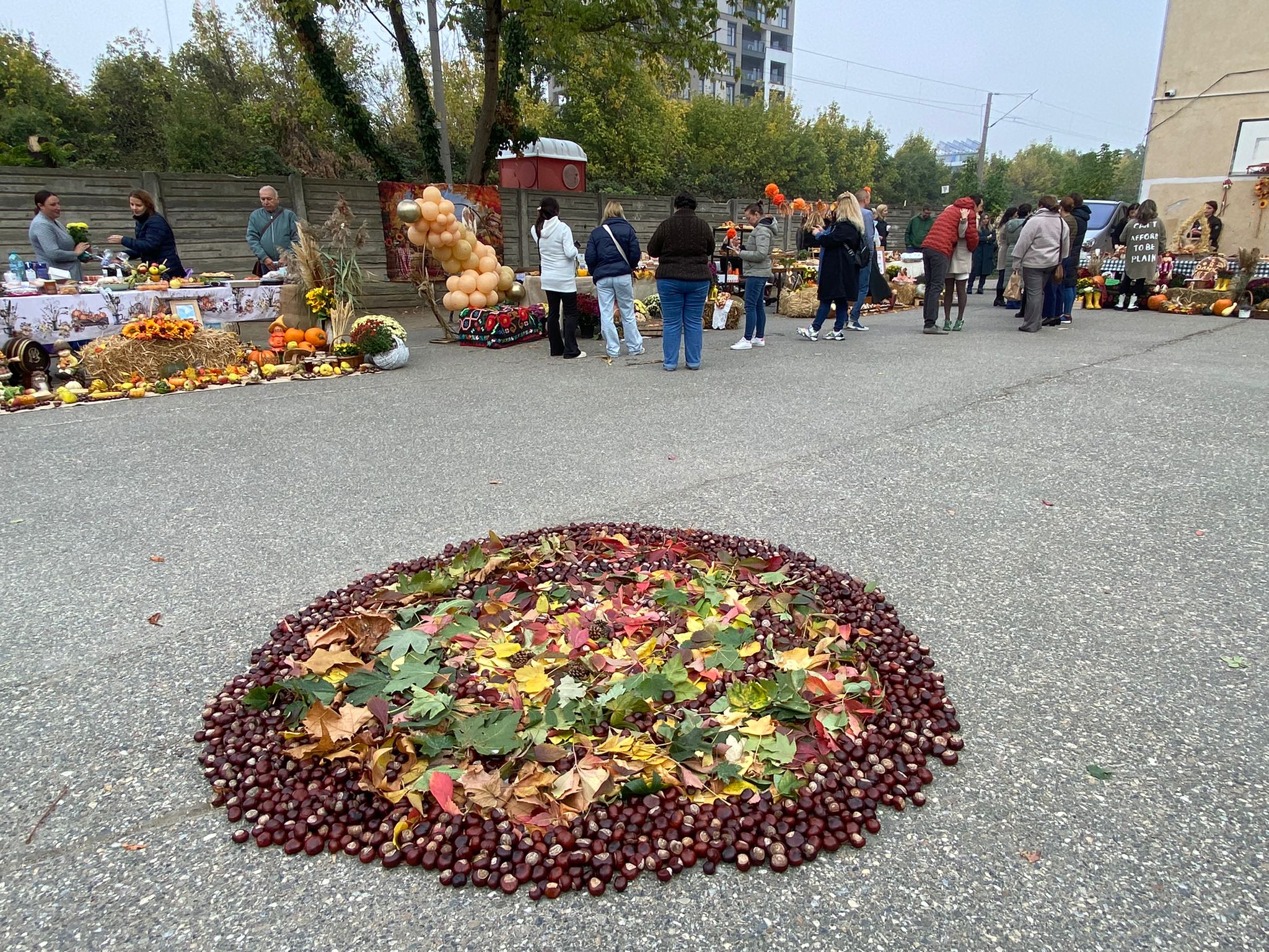 WhatsApp Image 2025-10-10 at 11.48.12