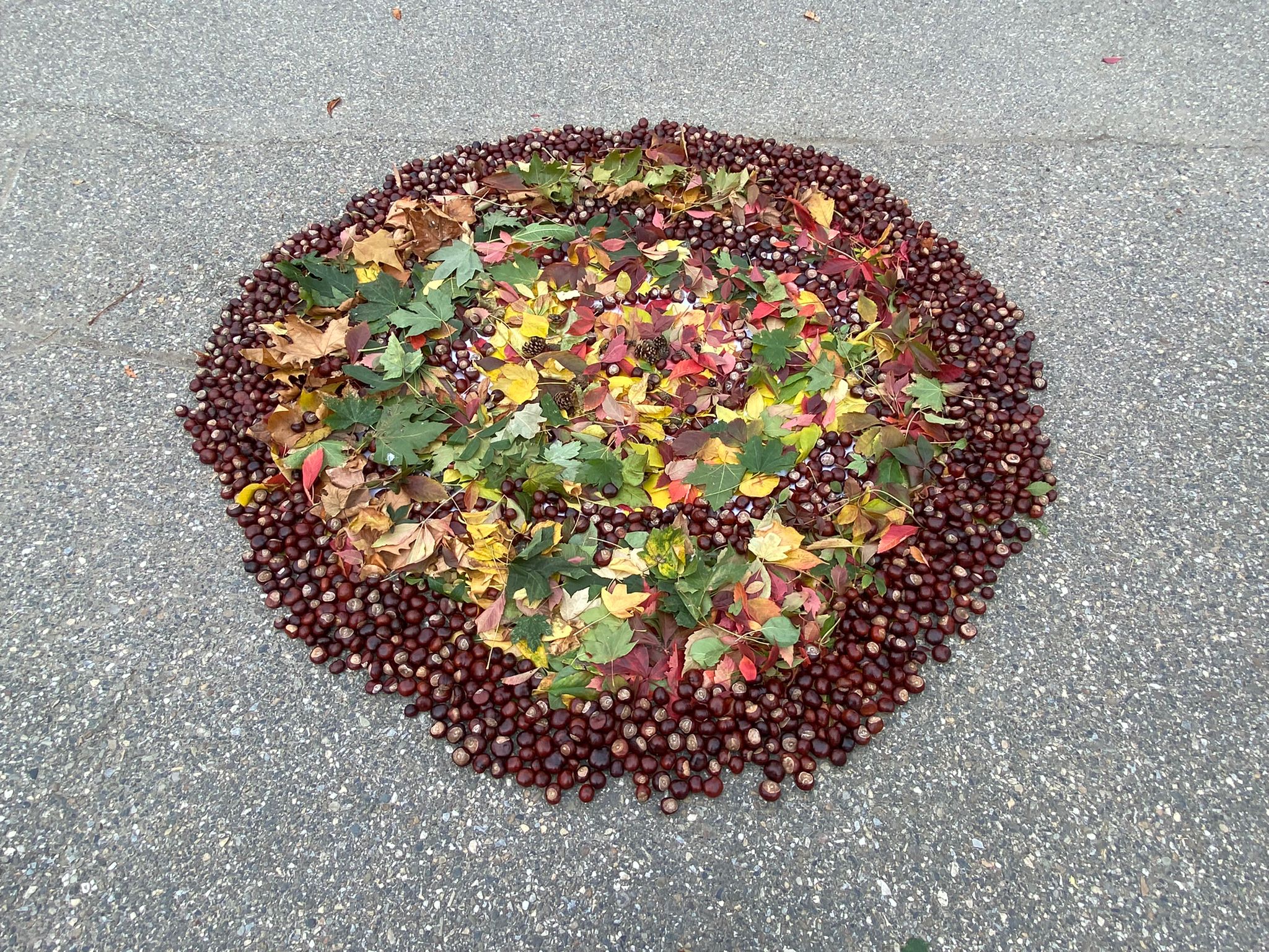 WhatsApp Image 2025-10-10 at 11.48.11 (1)