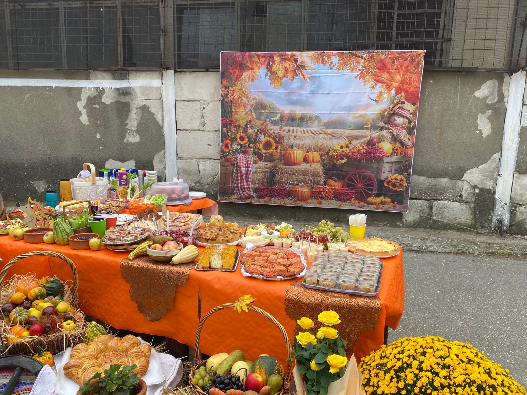 WhatsApp Image 2025-10-10 at 11.48.10