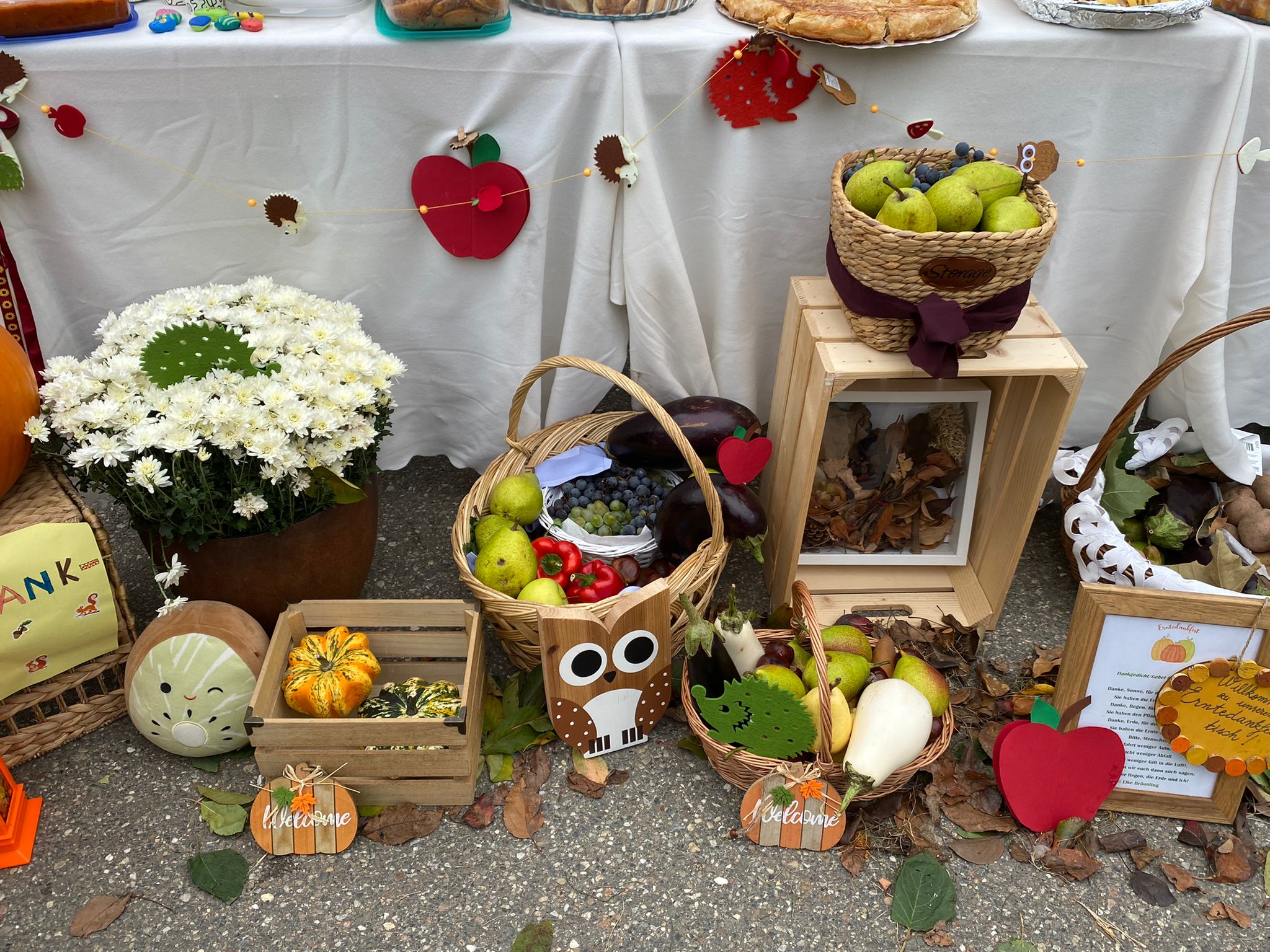 WhatsApp Image 2025-10-10 at 11.48.09 (2)