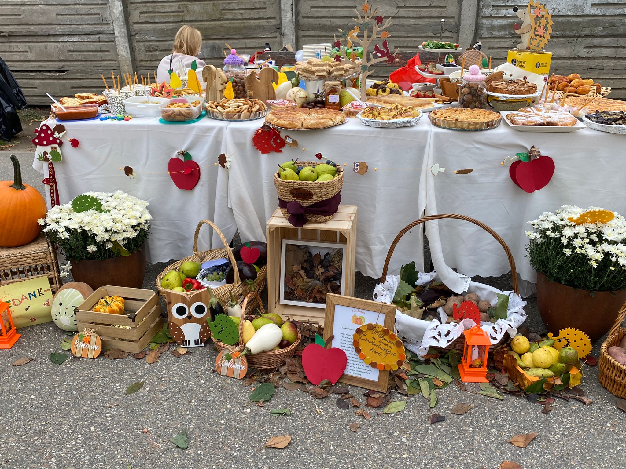 WhatsApp Image 2025-10-10 at 11.48.09