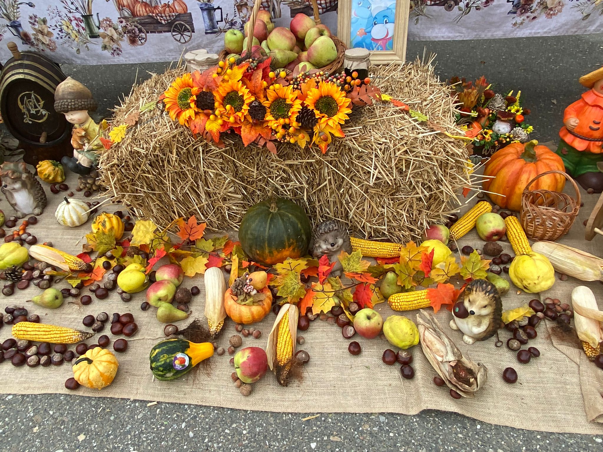 WhatsApp Image 2025-10-10 at 11.48.07 (2)