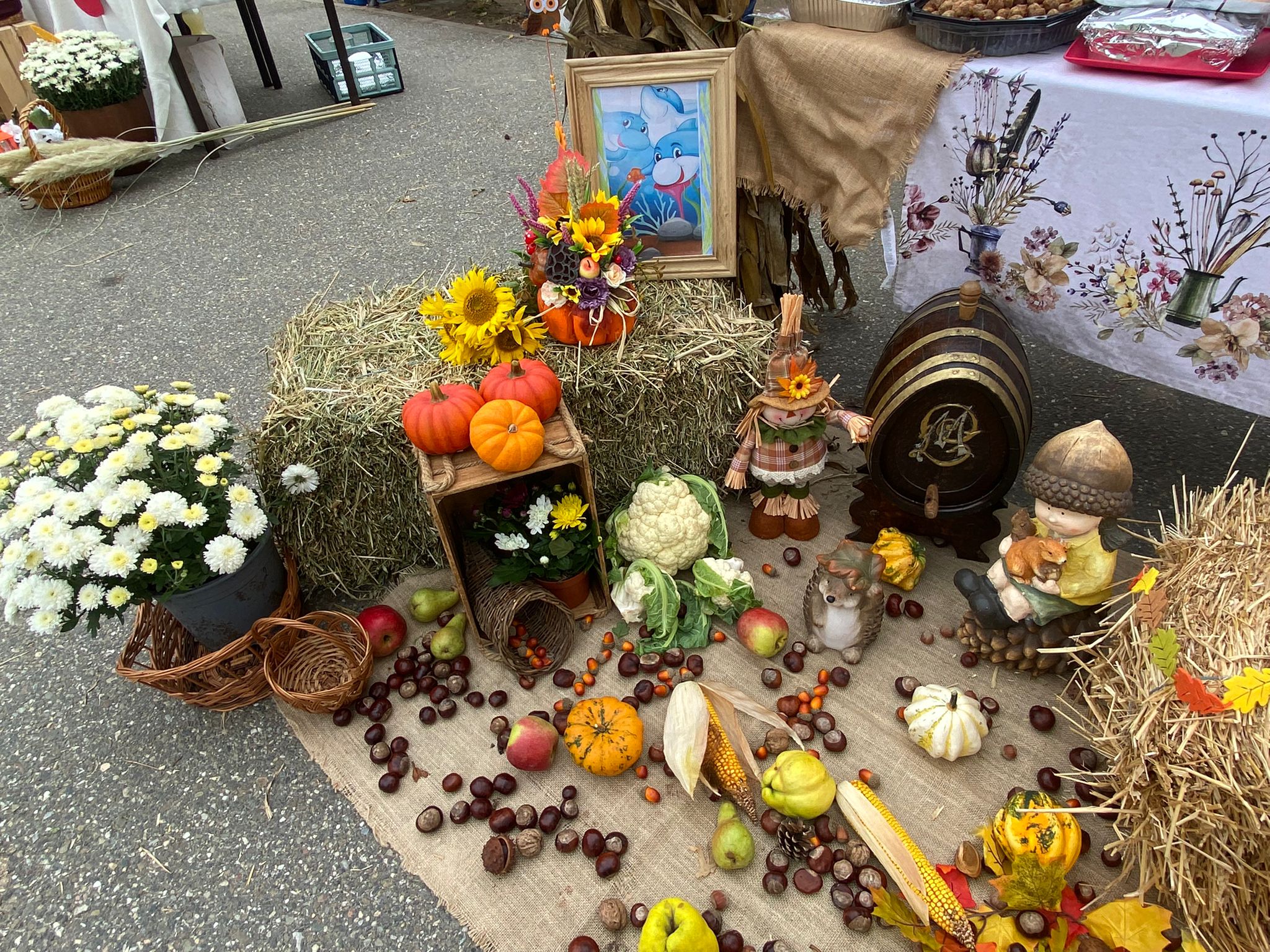 WhatsApp Image 2025-10-10 at 11.48.08