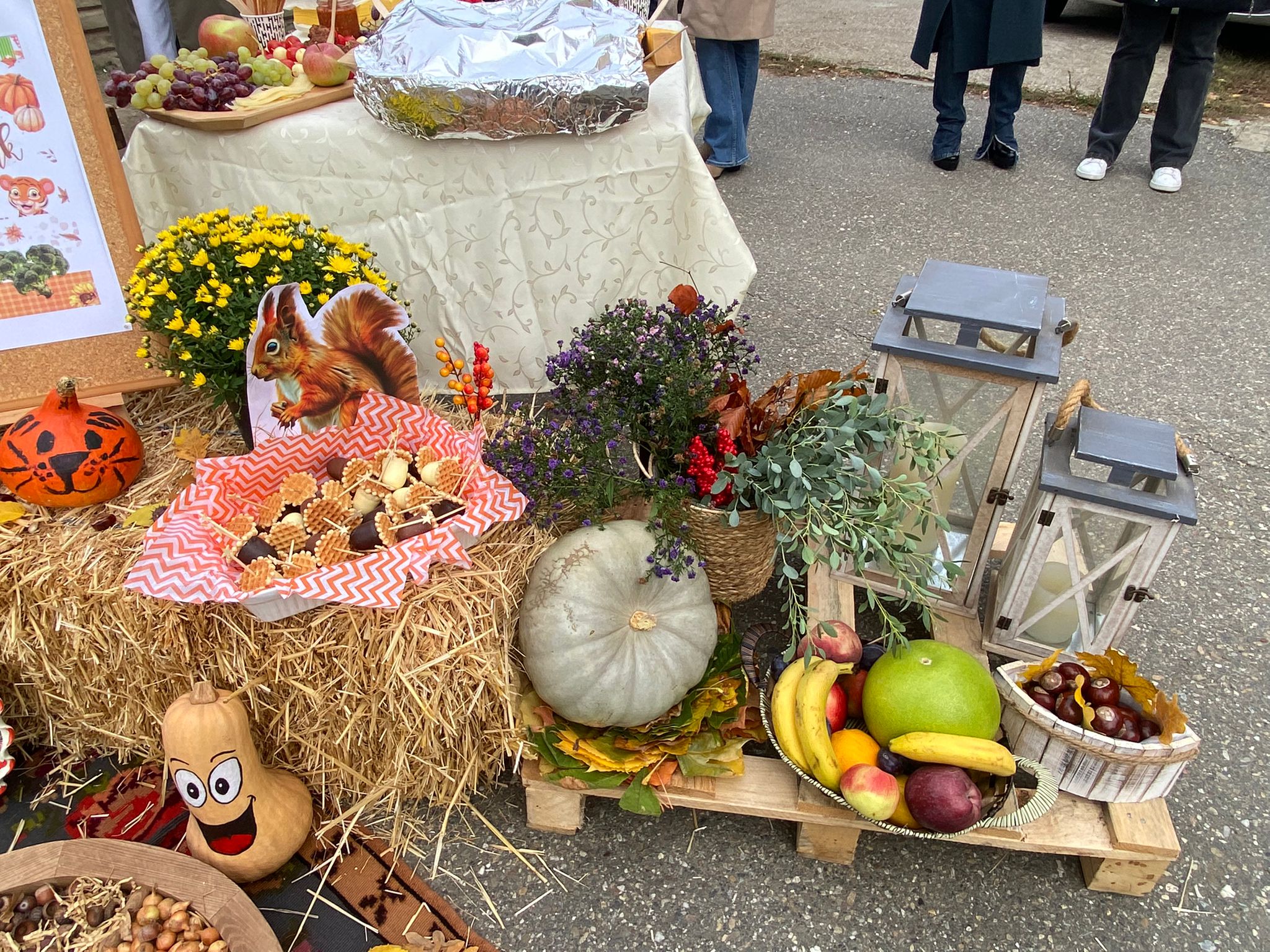 WhatsApp Image 2025-10-10 at 11.48.06