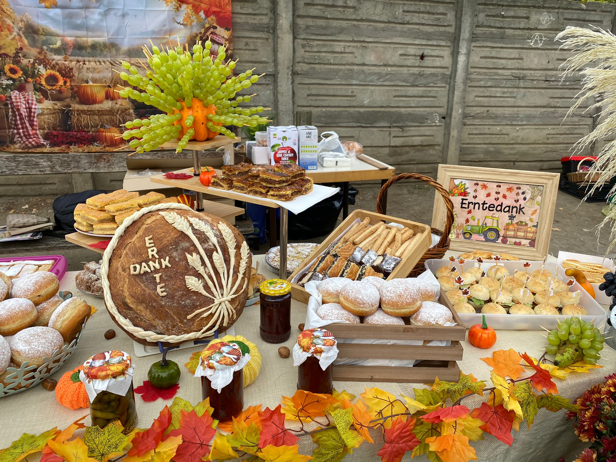 WhatsApp Image 2025-10-10 at 11.48.07