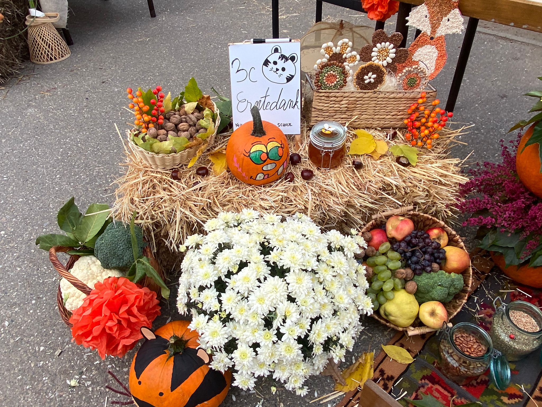 WhatsApp Image 2025-10-10 at 11.48.05