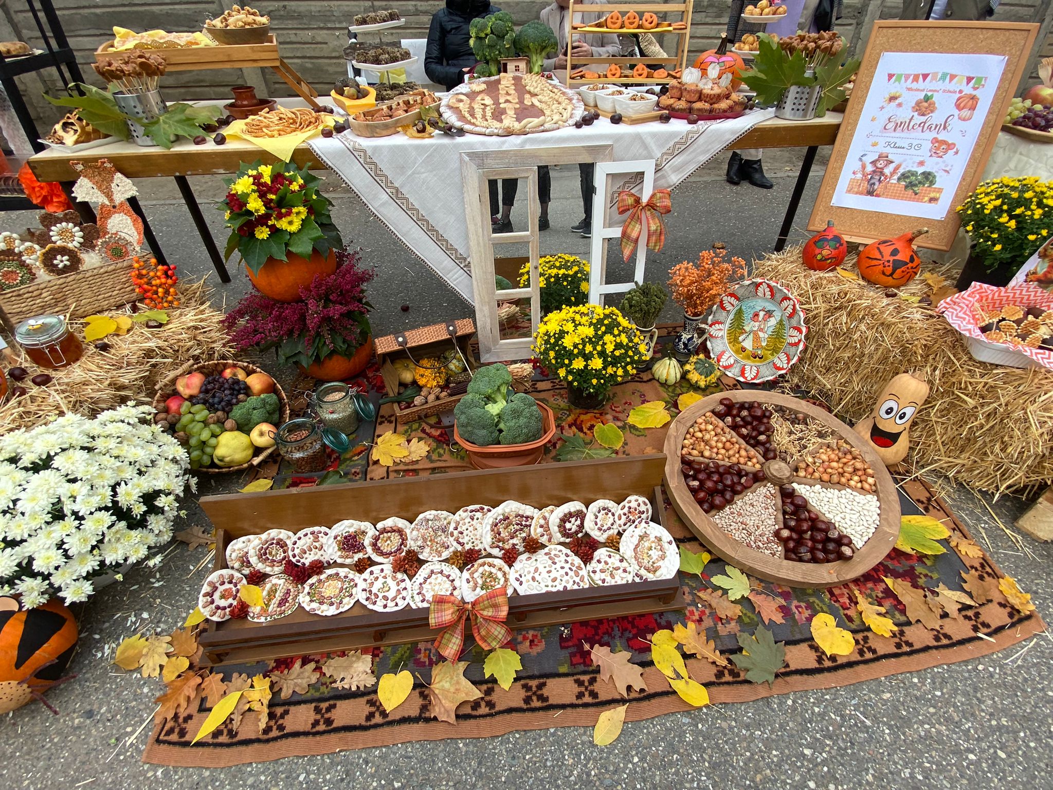 WhatsApp Image 2025-10-10 at 11.48.05 (1)