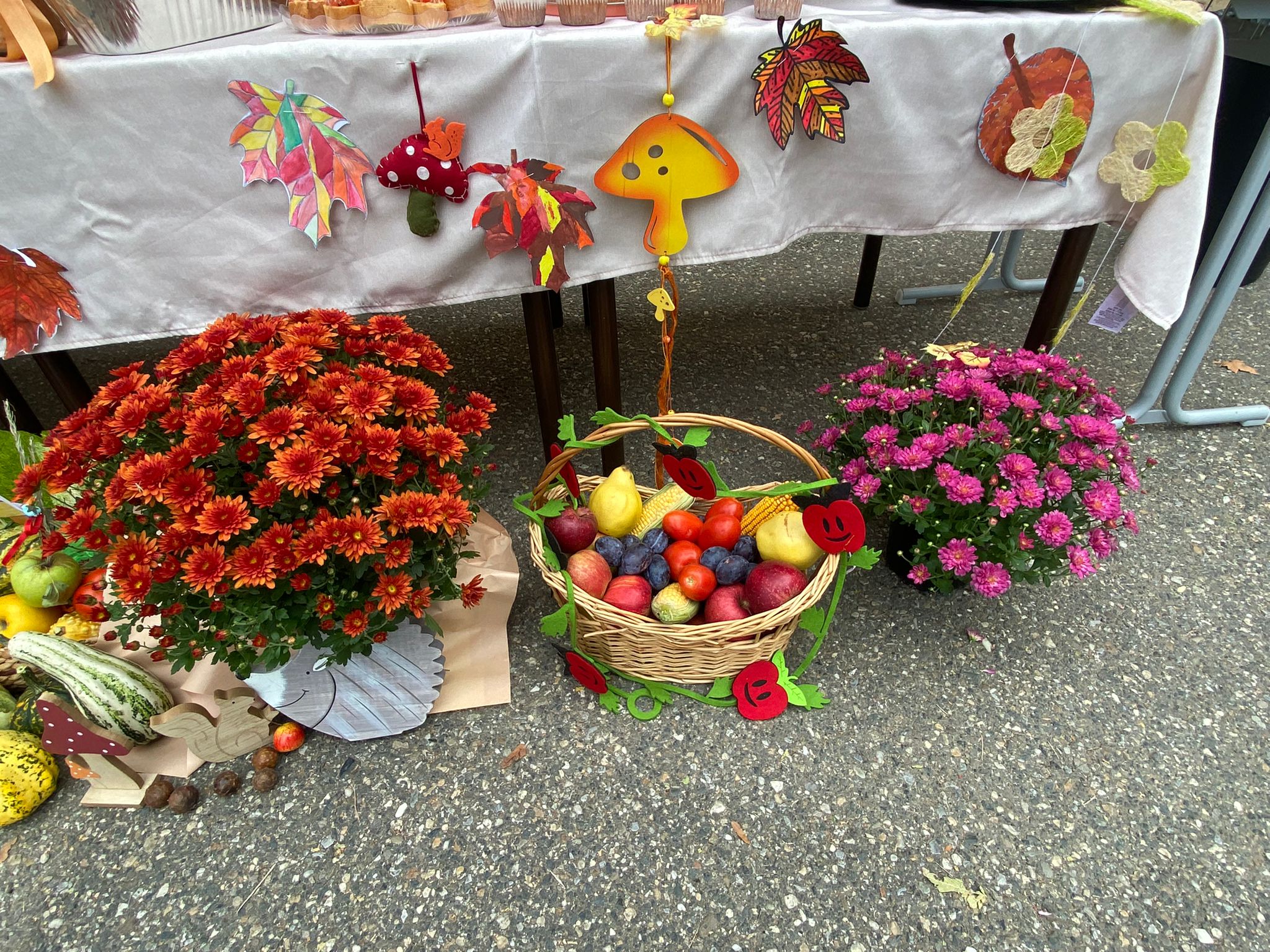 WhatsApp Image 2025-10-10 at 11.48.04 (2)