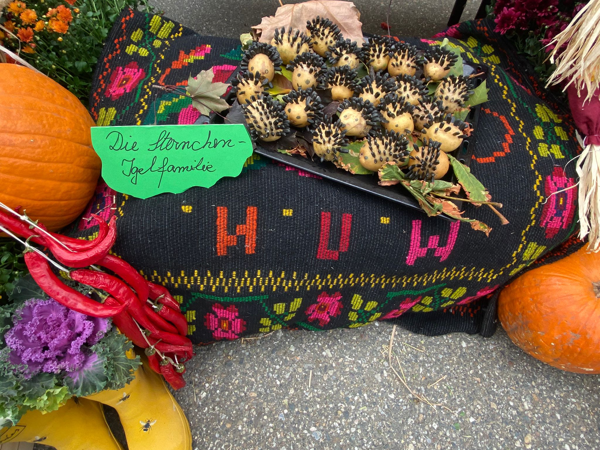 WhatsApp Image 2025-10-10 at 11.48.03 (1)