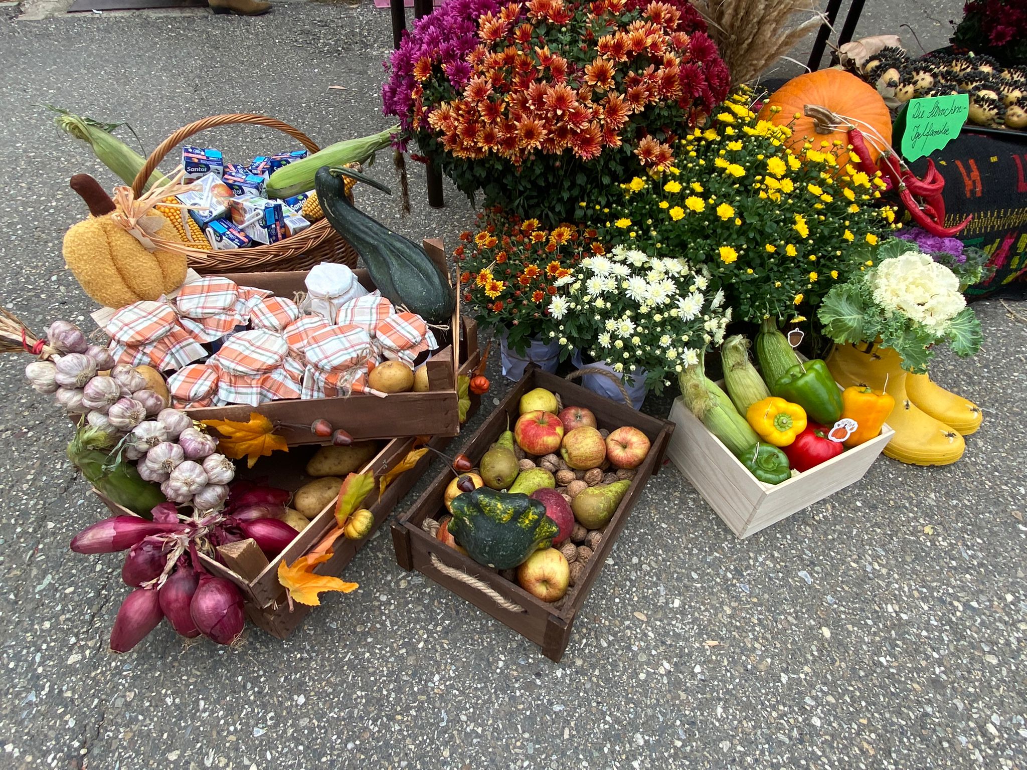 WhatsApp Image 2025-10-10 at 11.48.03 (2)