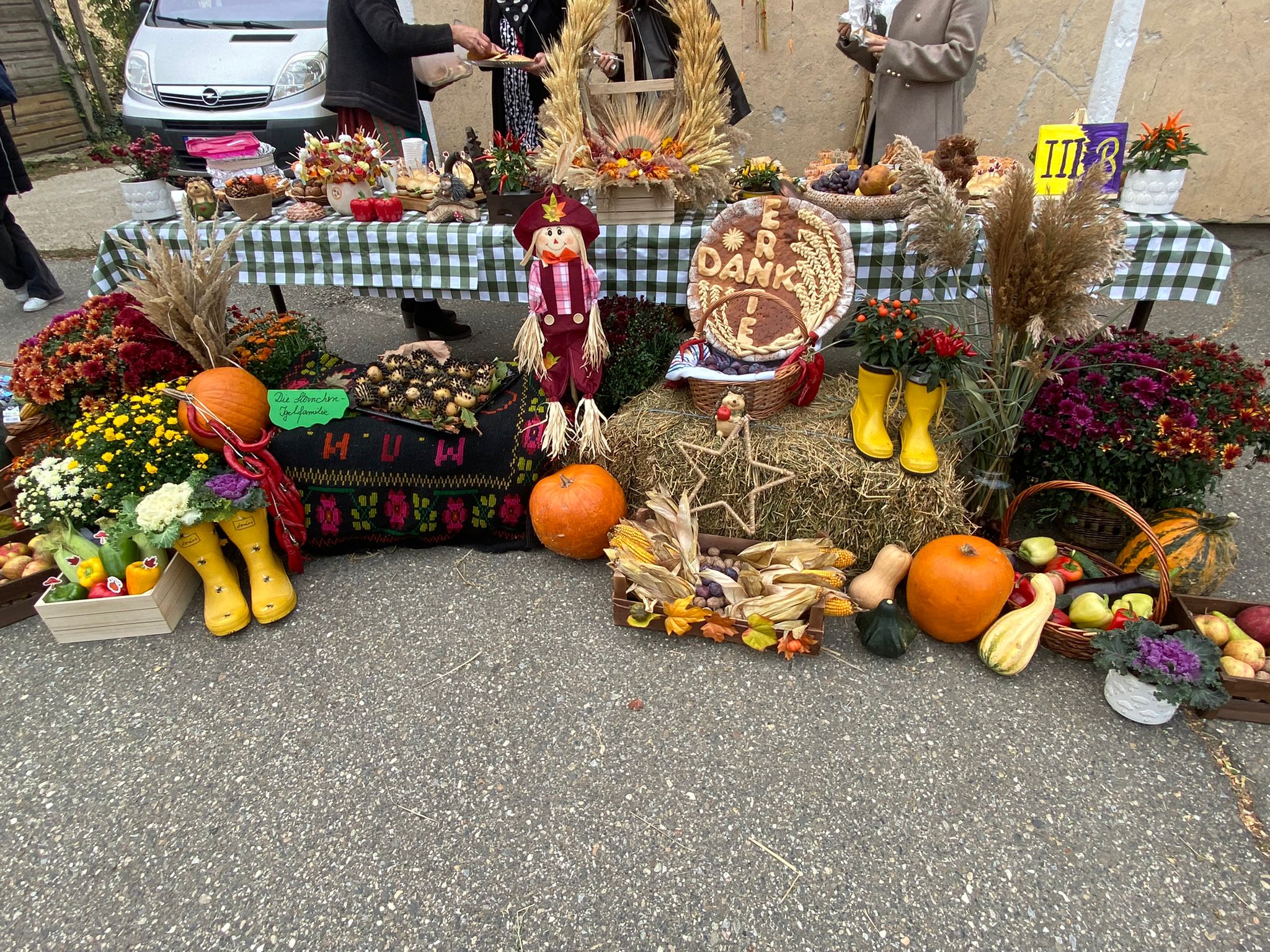 WhatsApp Image 2025-10-10 at 11.48.02