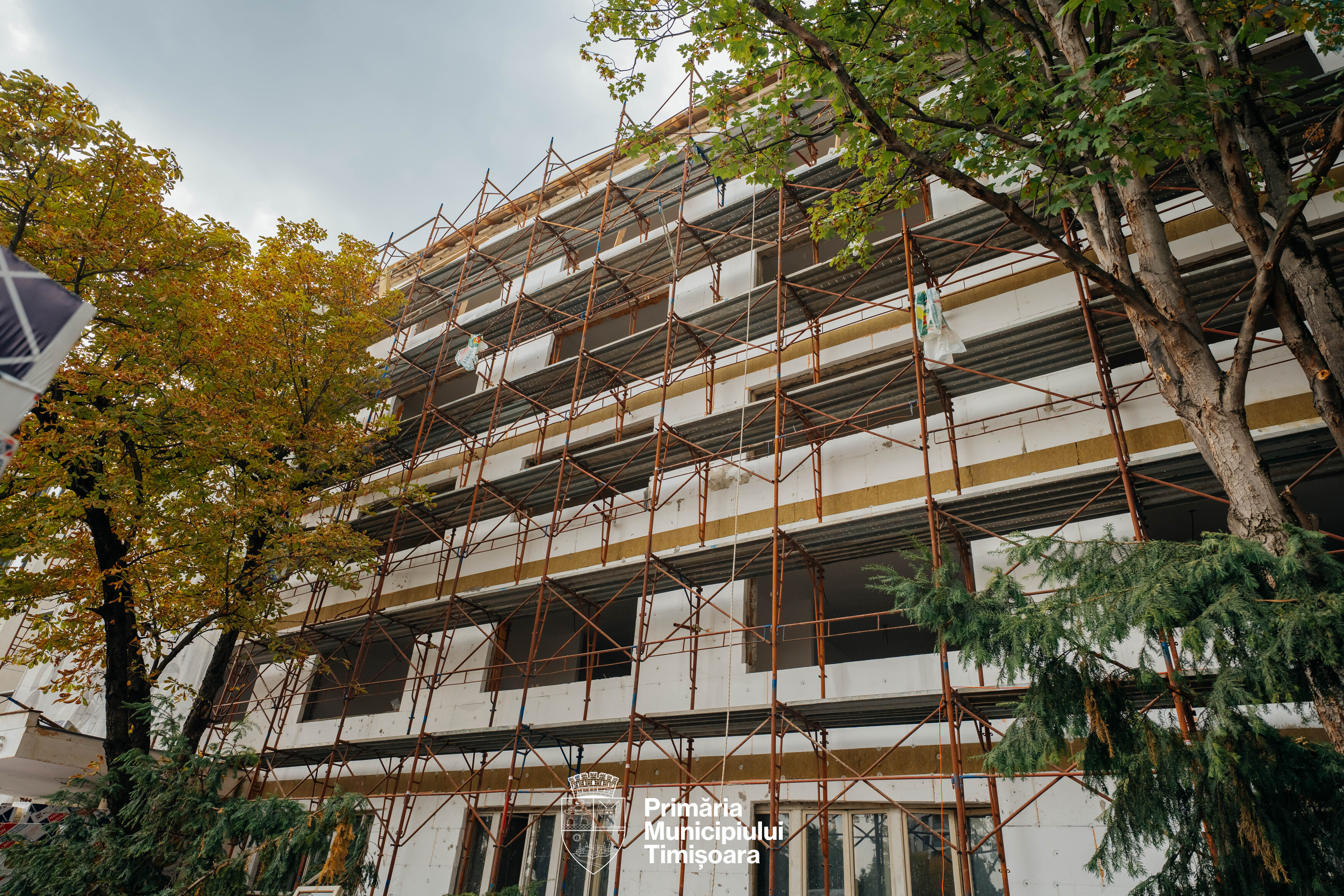 reabilitare coandă (5)