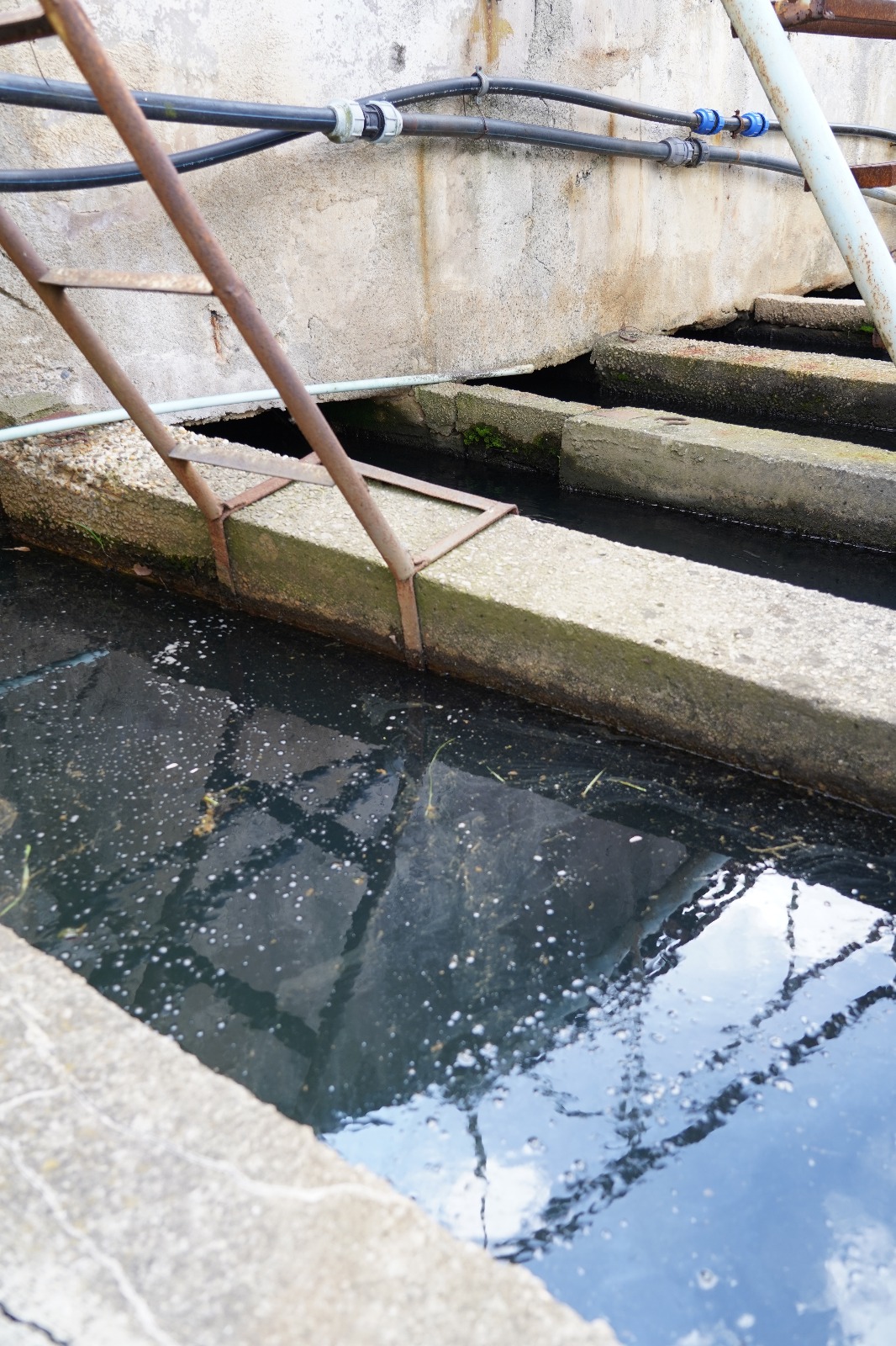 Stația de epurare Lugoj (9)