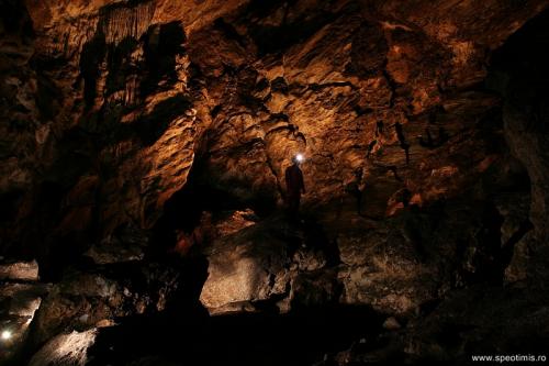 Sala liliecilor- peștera românești
