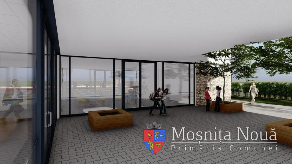 liceu verde Mosnita Noua (5)