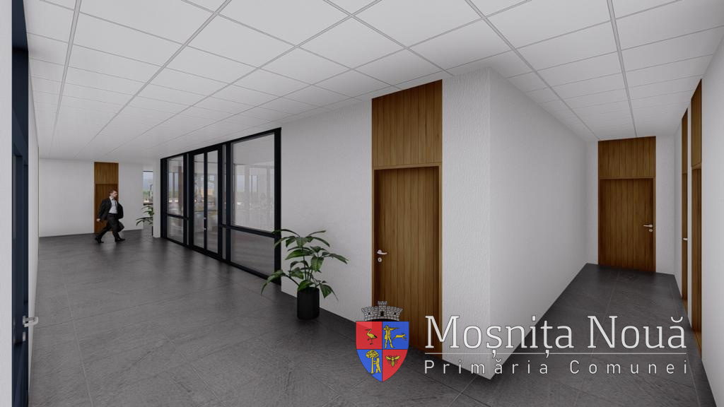 liceu verde Mosnita Noua (7)