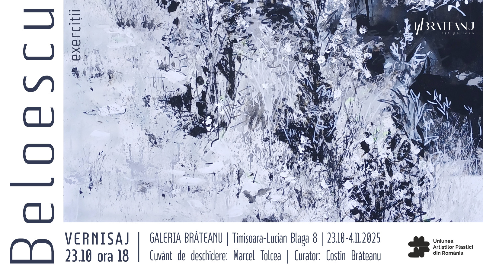 Cover FB Călin Beloescu