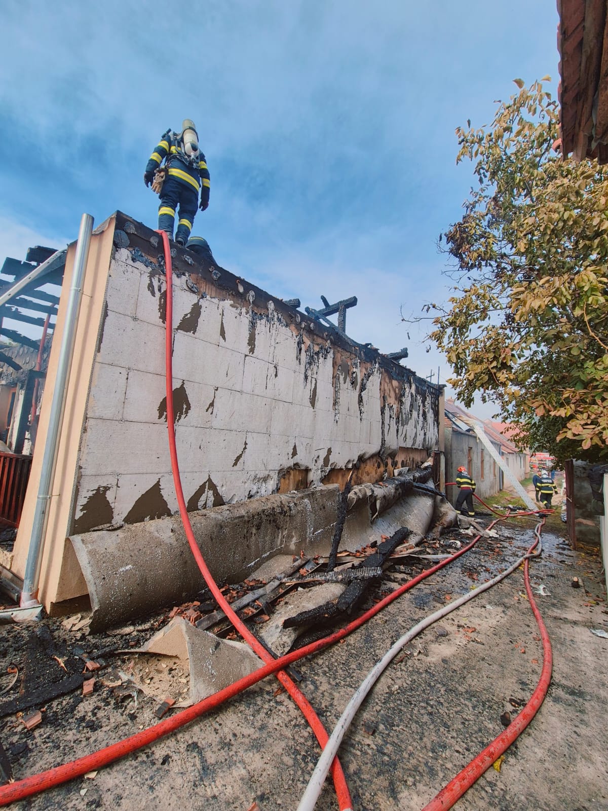 WhatsApp Image 2025-10-21 at 14.27.18