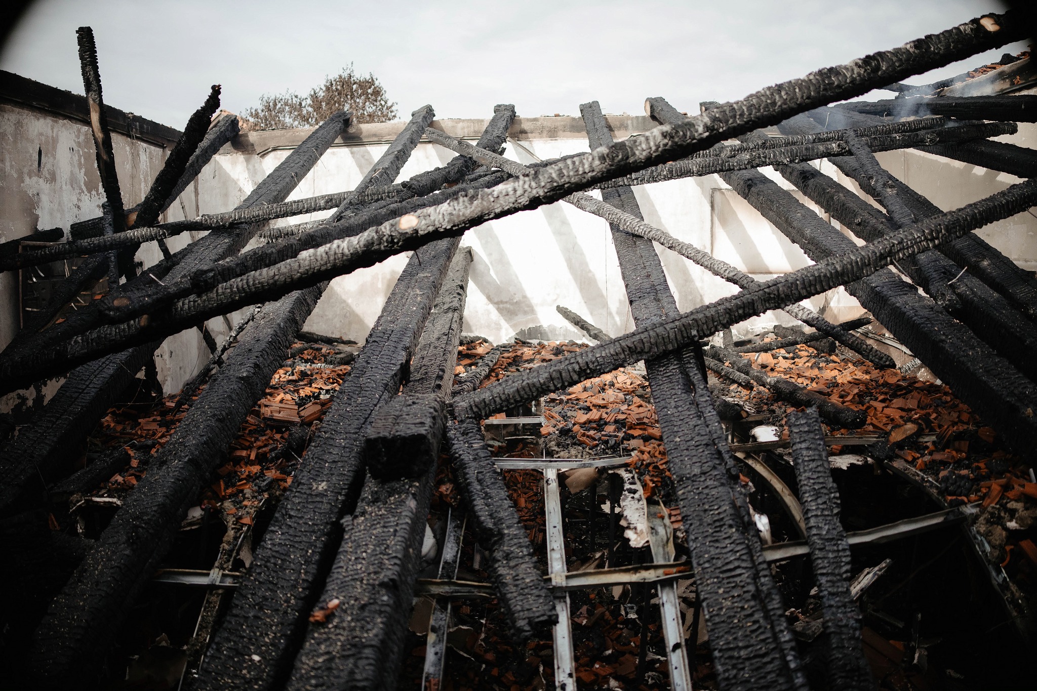 566224649_1434191635379270_3199125309698578035_n