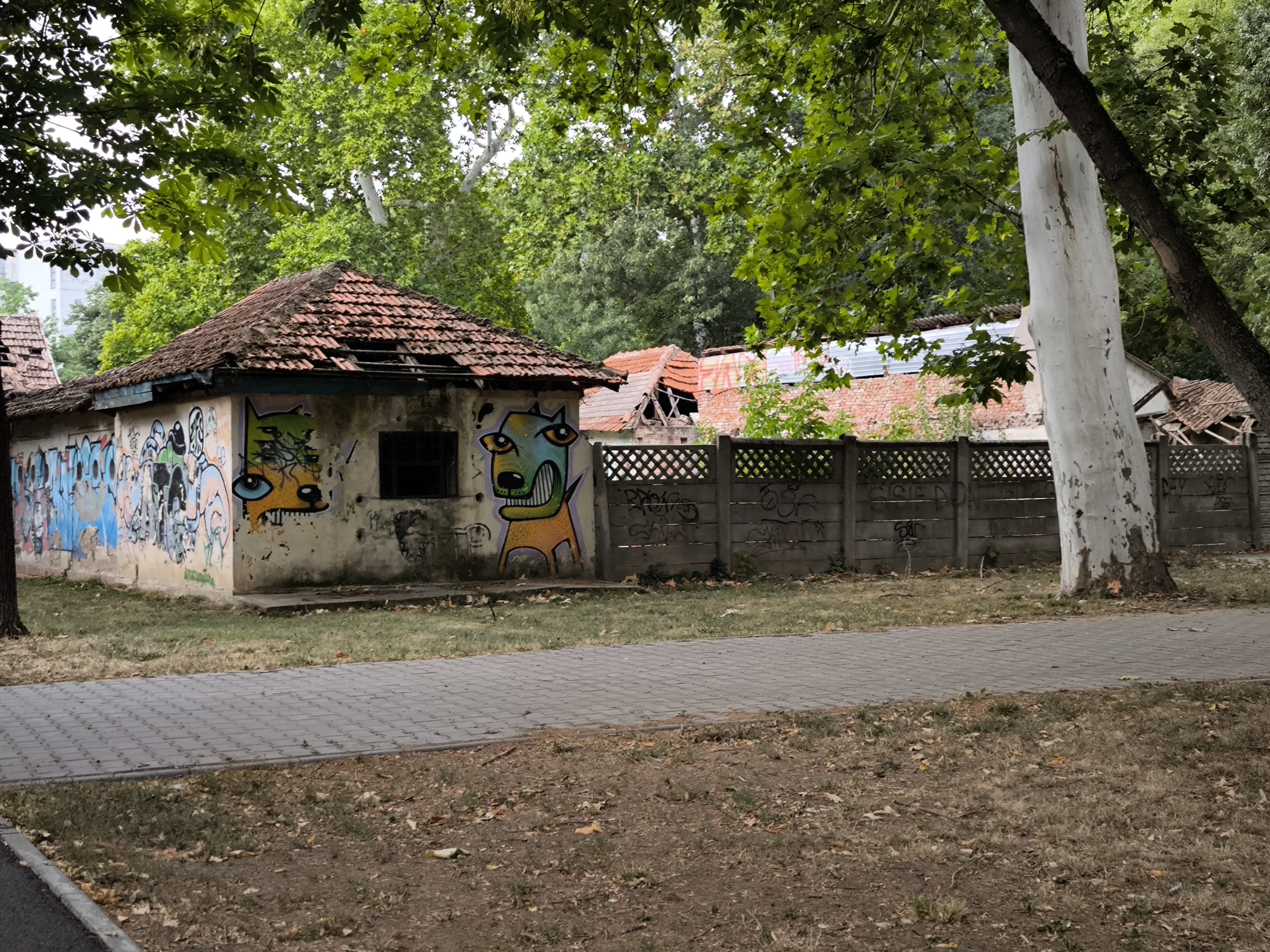 Uszoda septembrie 2025 (2)