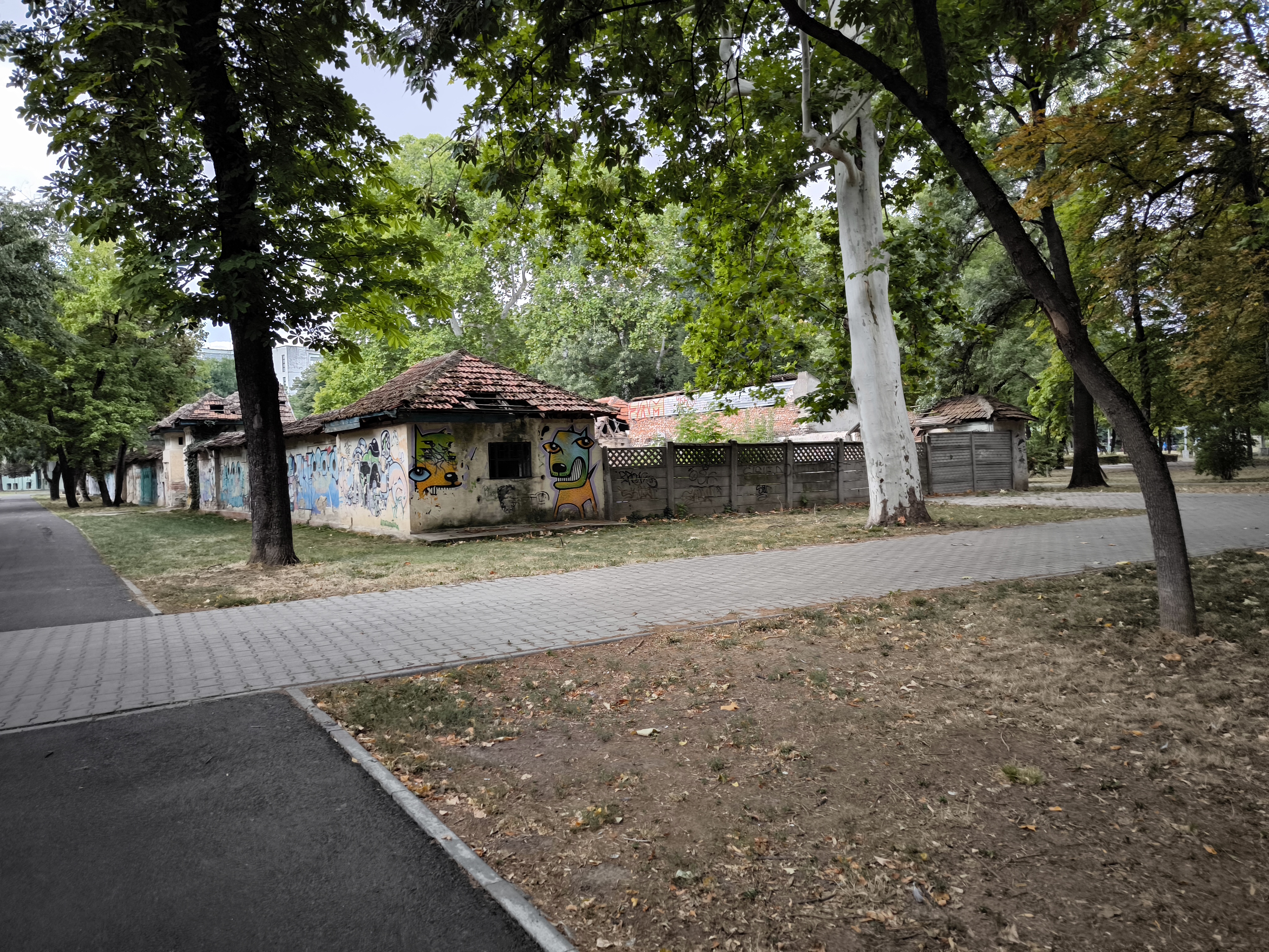 Uszoda septembrie 2025 (3)