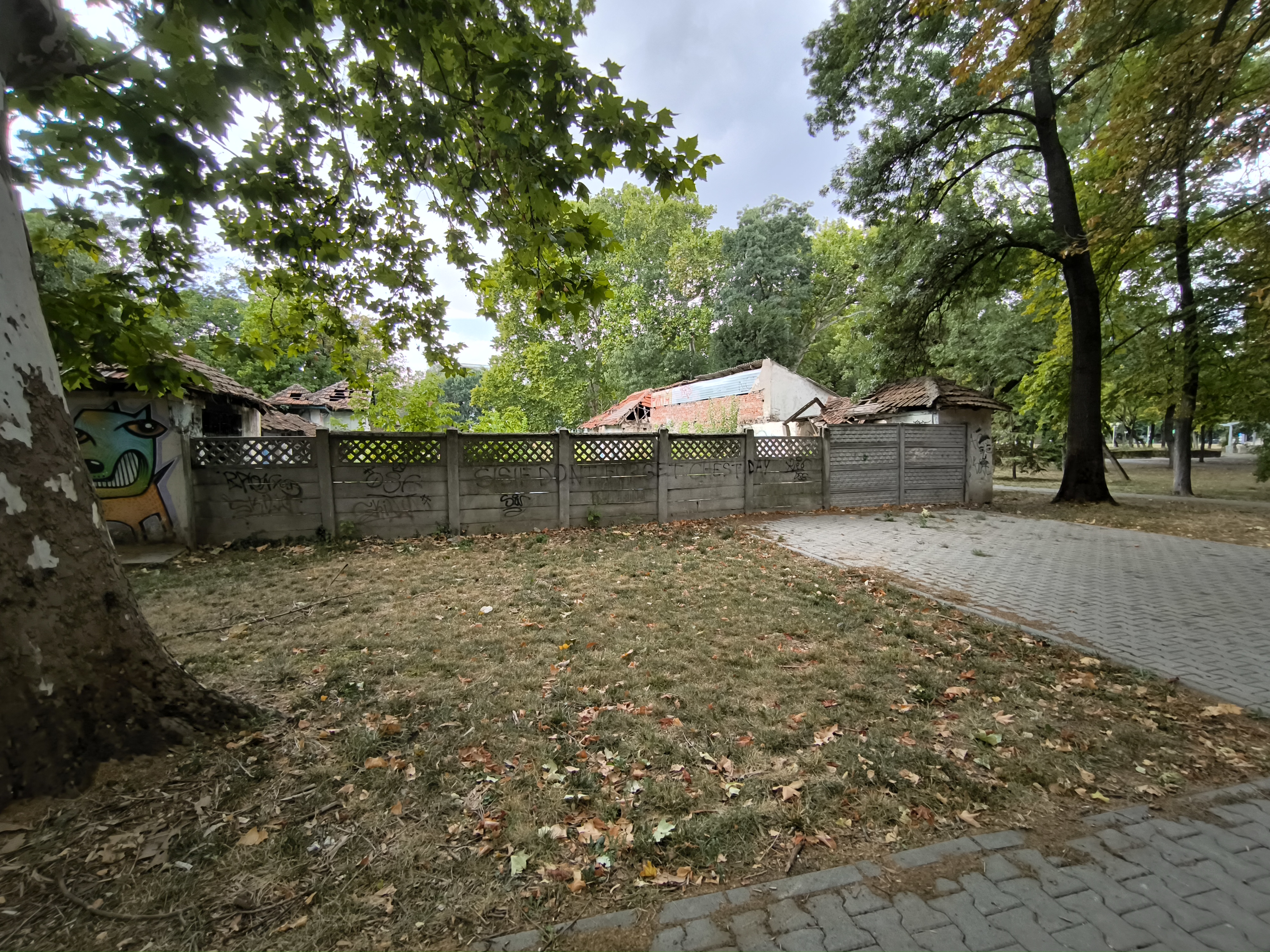 Uszoda septembrie 2025 (4)