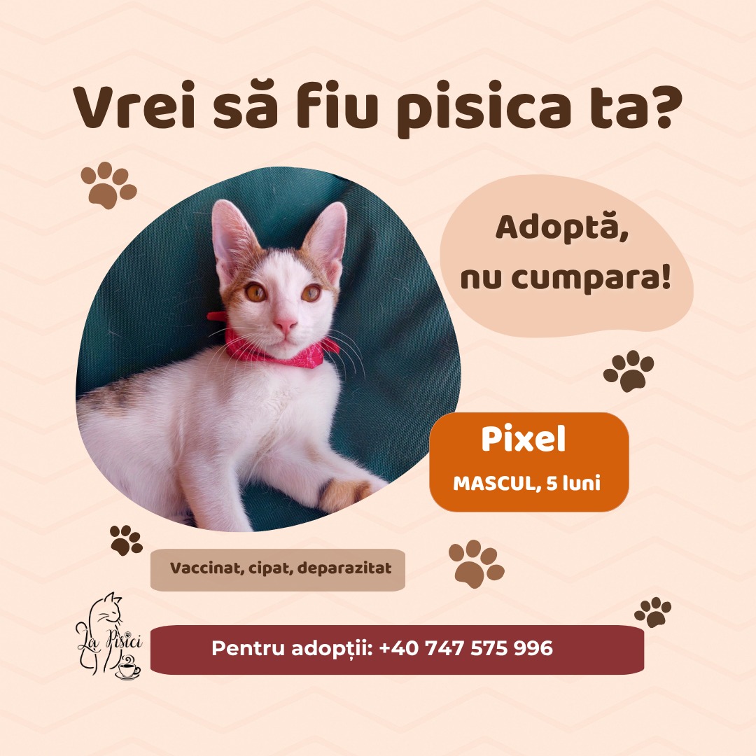 571050755_1238884604948672_4022476462934619326_n