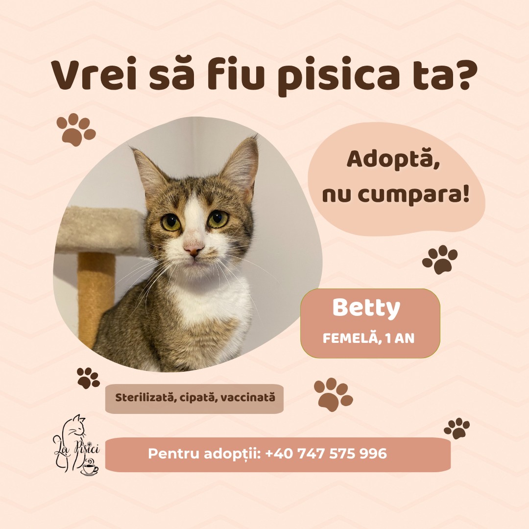 571193819_1238884601615339_7094834070028577330_n