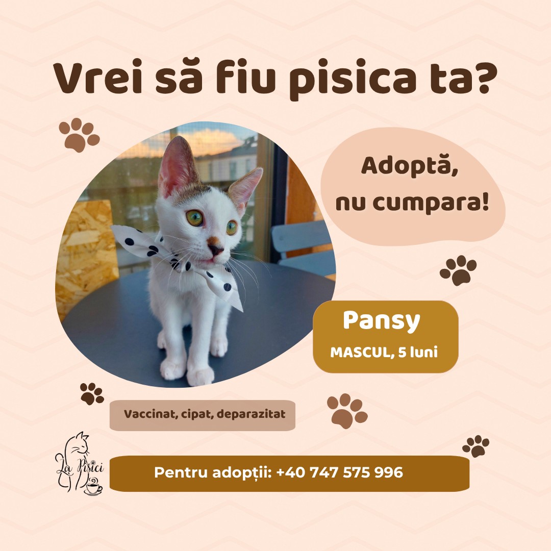 571208755_1238884544948678_750617092869781005_n