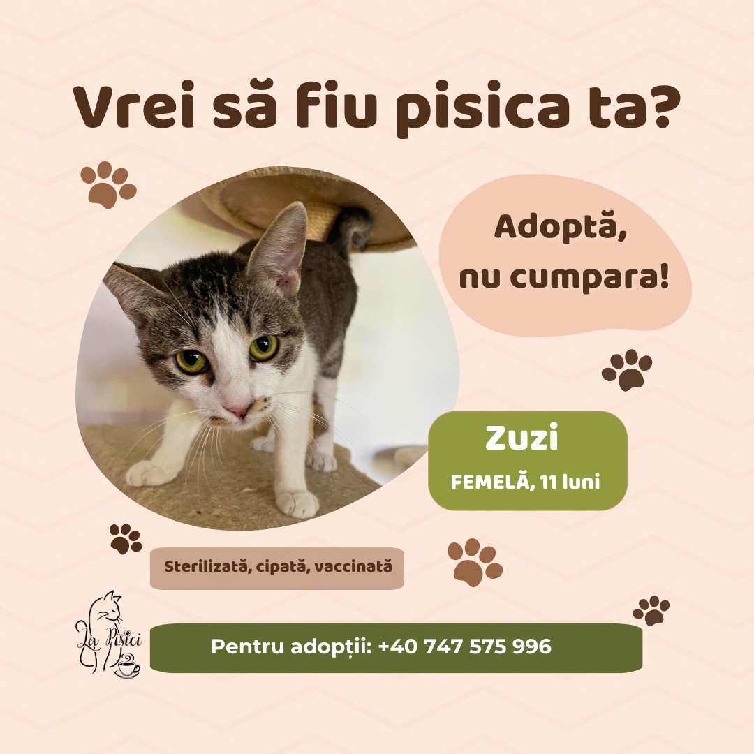 571438813_1238884428282023_2877781191400774130_n