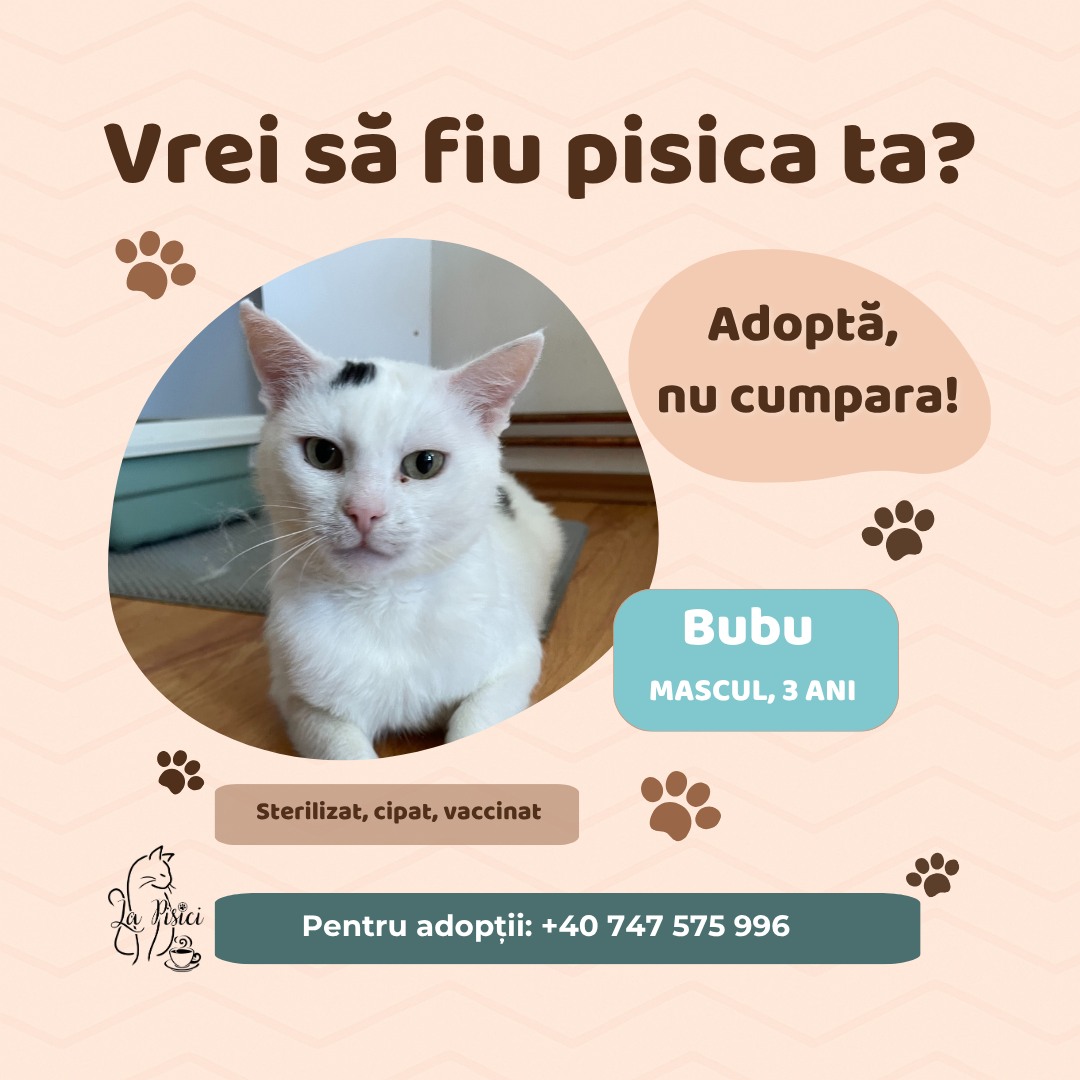 571362002_1238884378282028_1905620967897912605_n