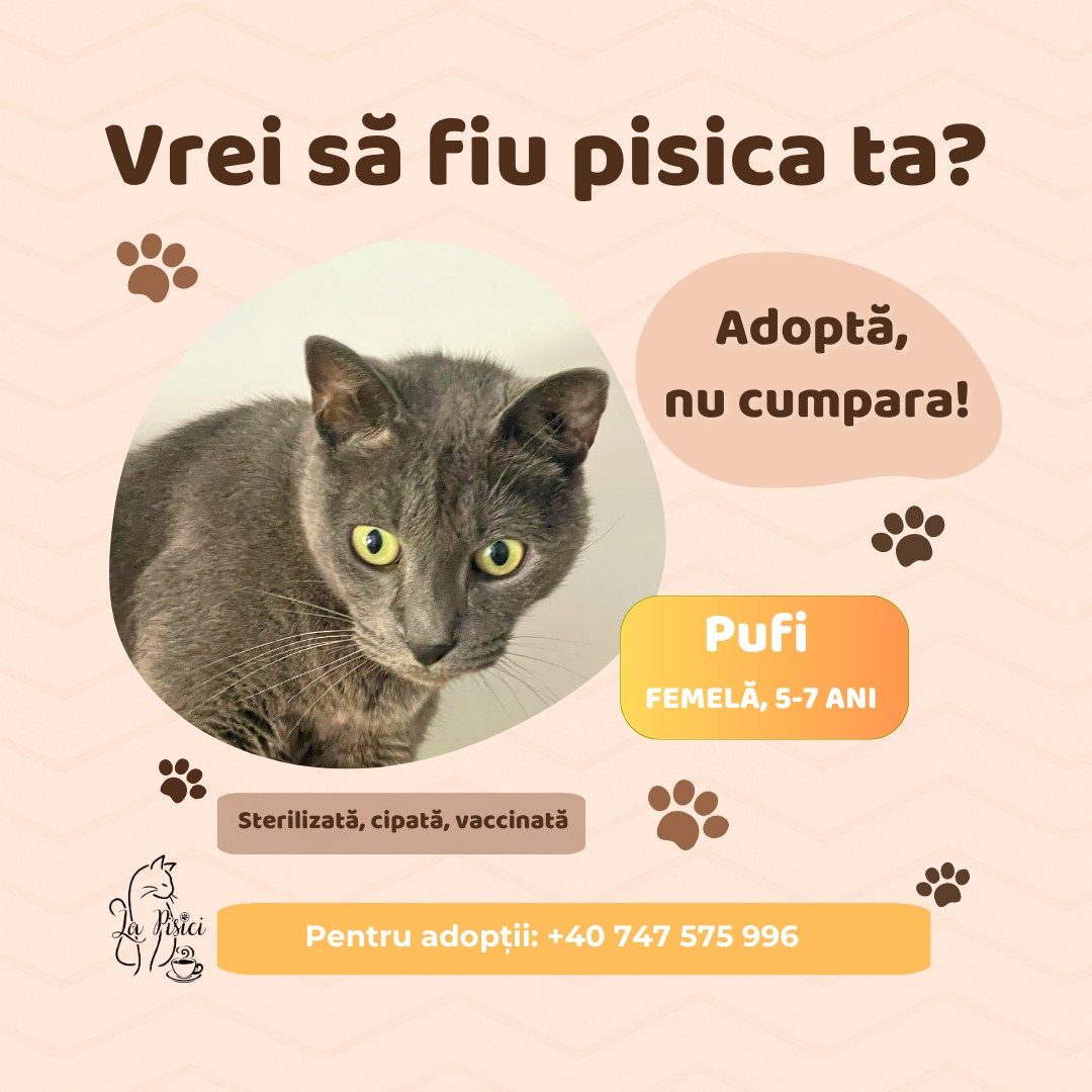 571395235_1238884394948693_5177777122174324210_n