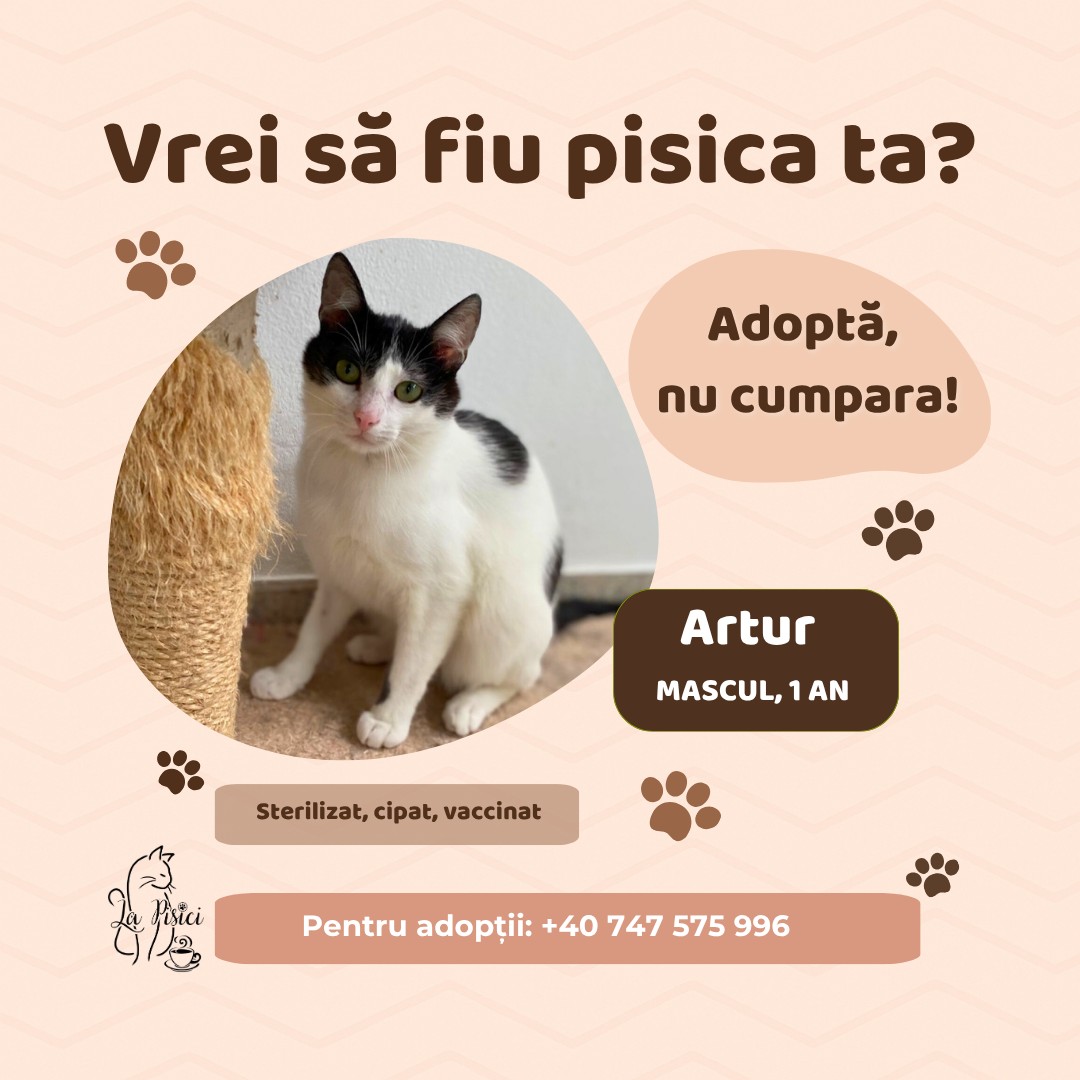 570598492_1238884424948690_5194836067683495789_n