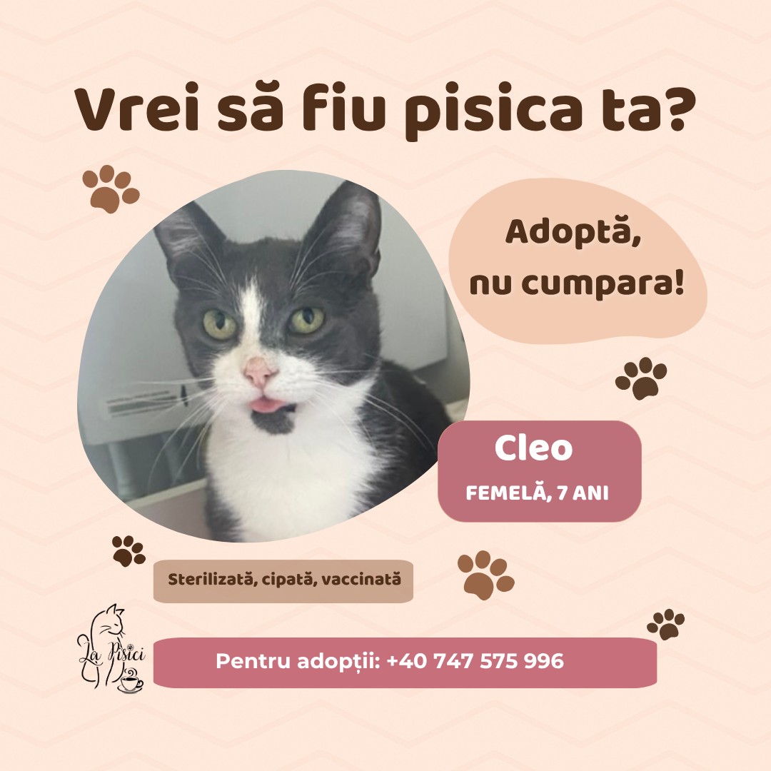 571304712_1238884381615361_600811467621280942_n