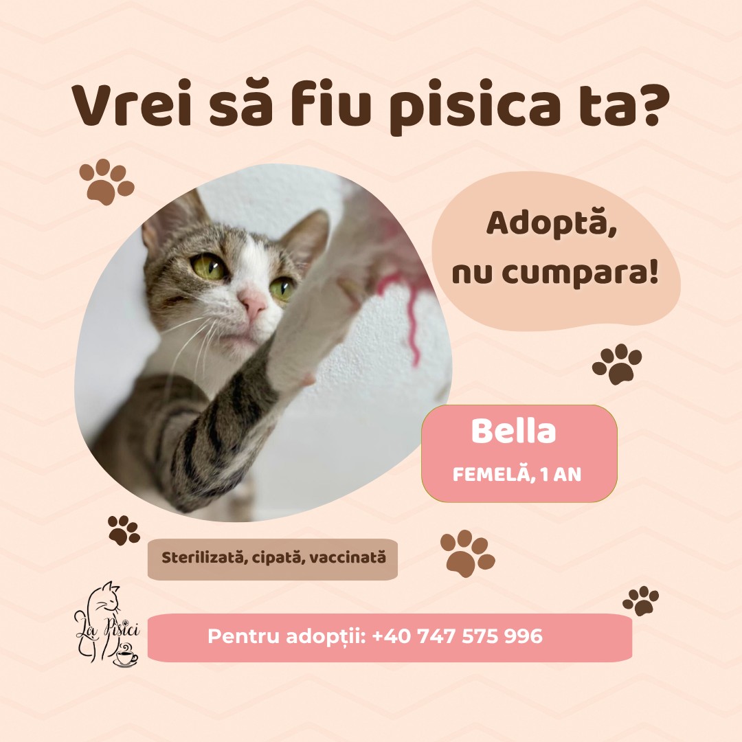 571103345_1238884344948698_7603868021606206412_n