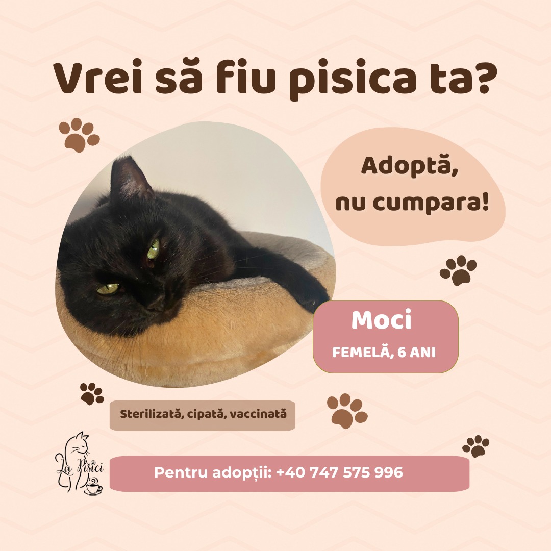 571153095_1238884408282025_7096545325776813081_n