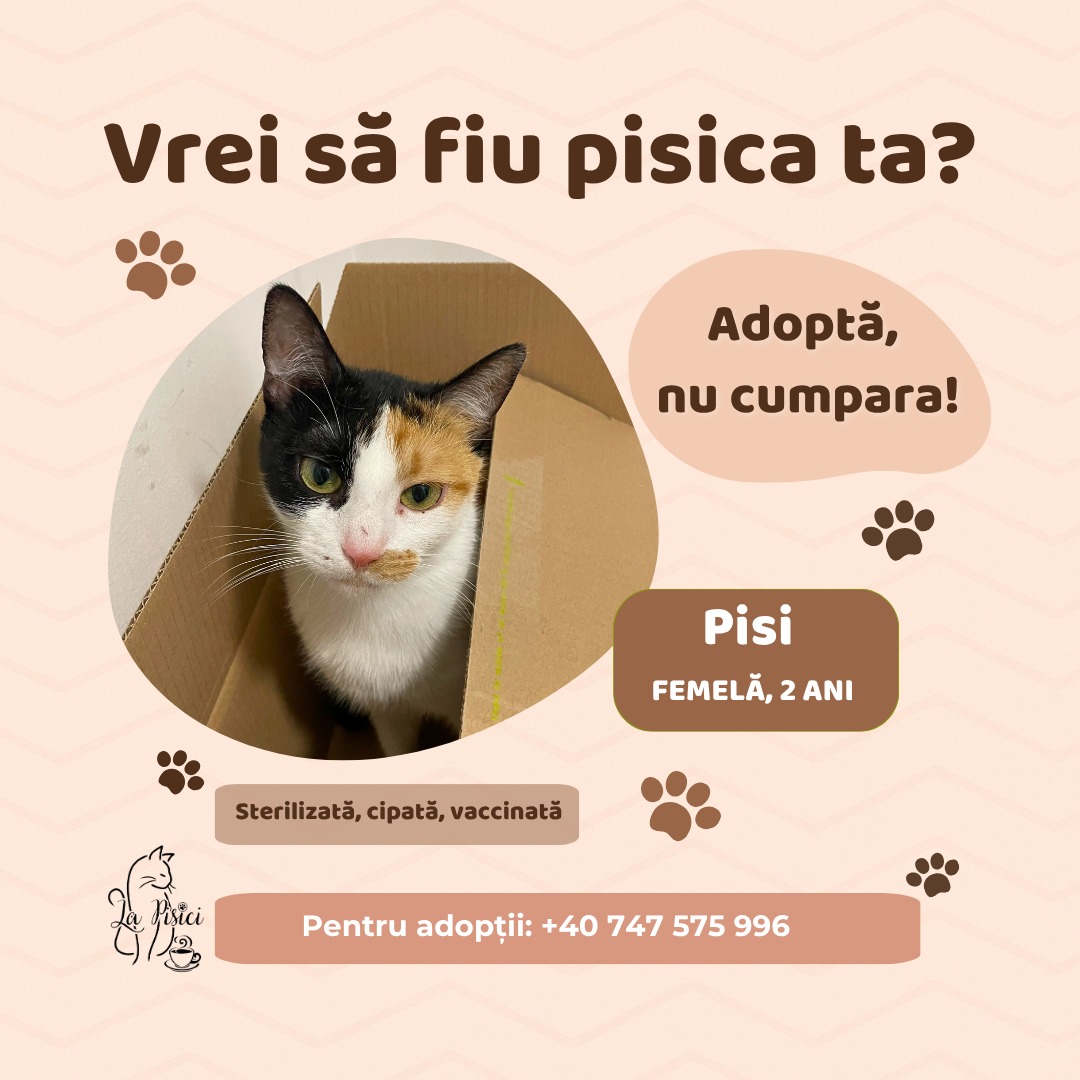 571350885_1238884384948694_3104220610912235164_n