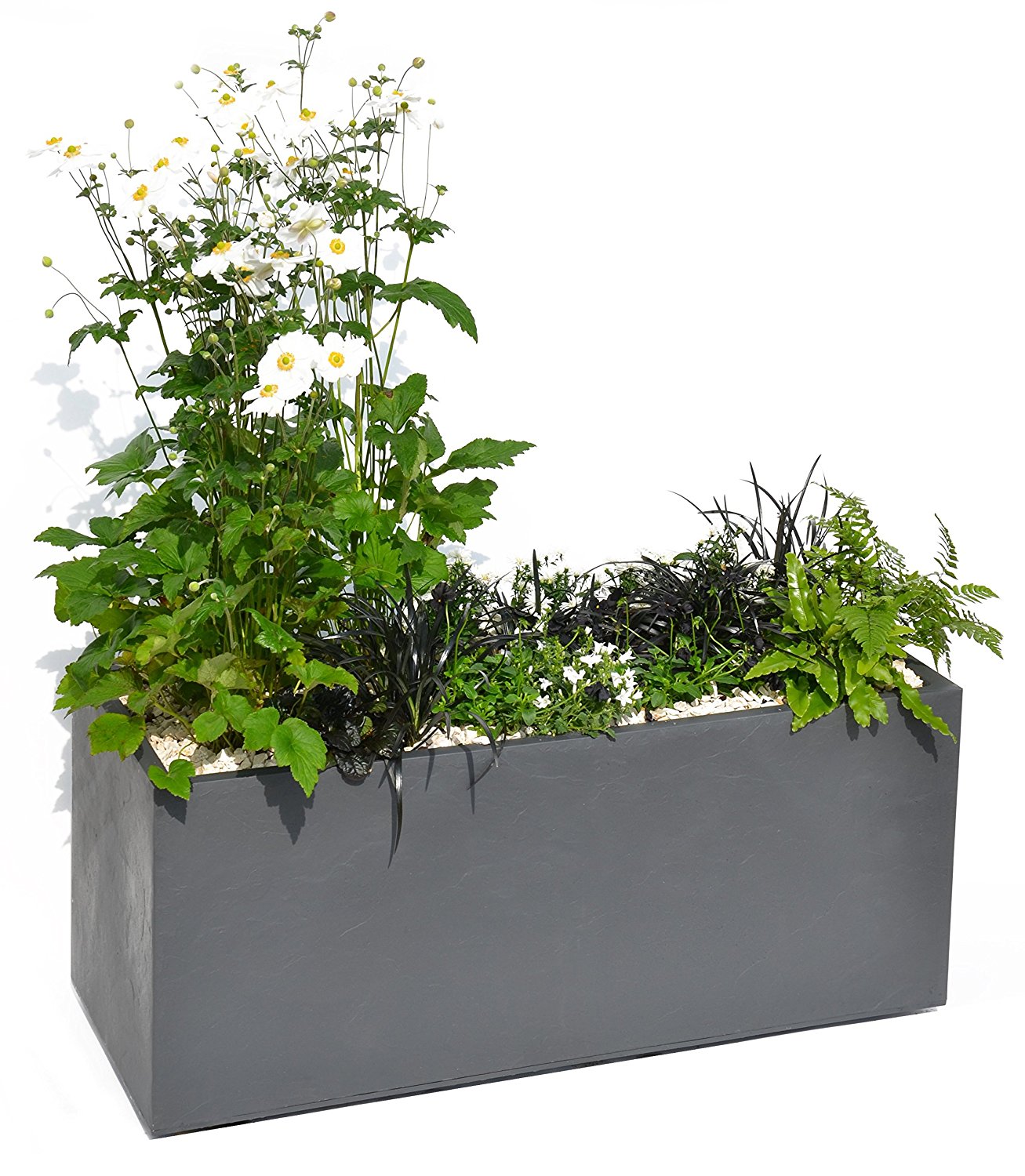 91M3VIDQbtL._SL1500_