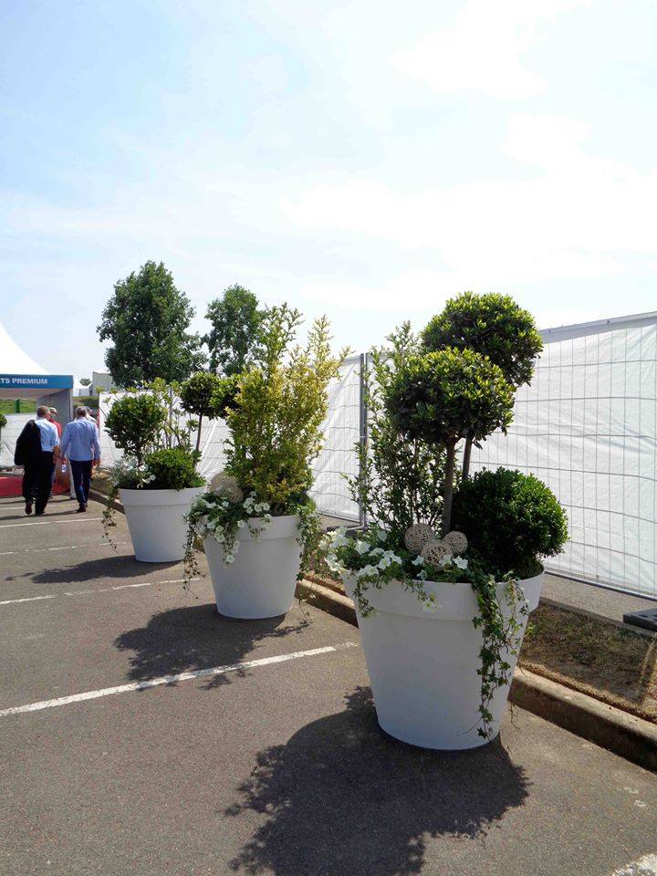 1513706_647340358736957_4659258671109553874_n