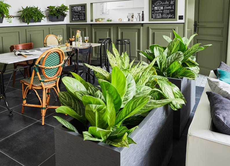 70822332-7-0-6037004-h-010000000000