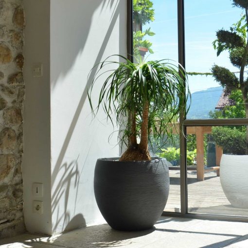 ghiveci egg 50-45 graphit