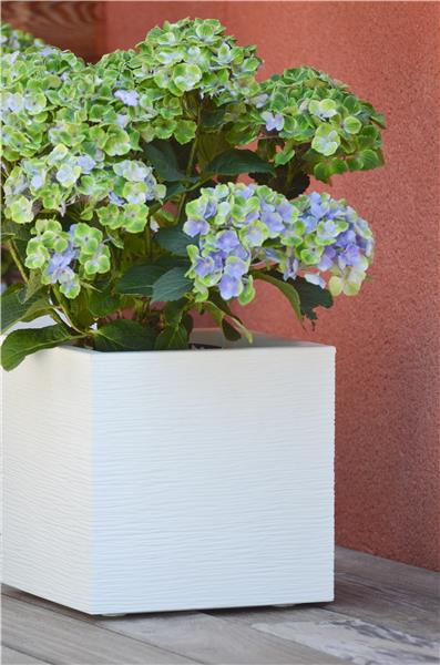 ghiveci patrat graphit up alb